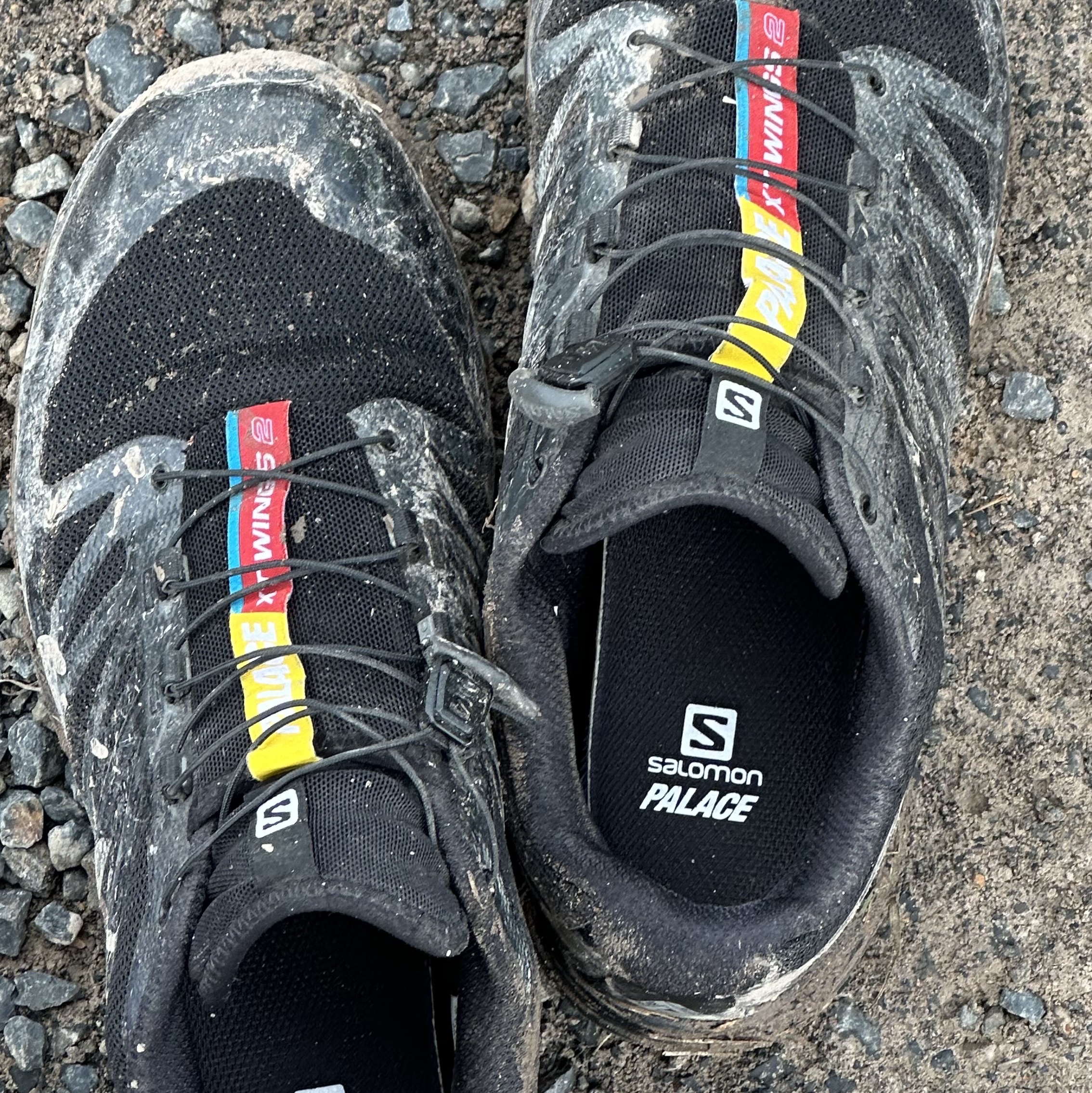Salomon x Palace XT-Wings 2 Black 착용 스타일