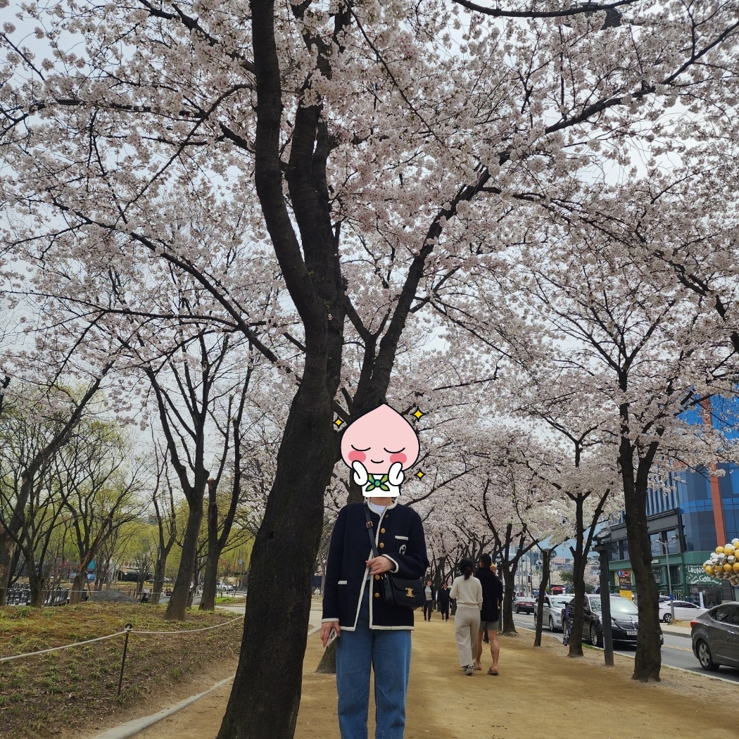 (W) Gucci Retro Tweed Jacket Dark Blue, Celine Classique Triomphe Bag in Shiny Calfskin Black 착용 스타일 - 1