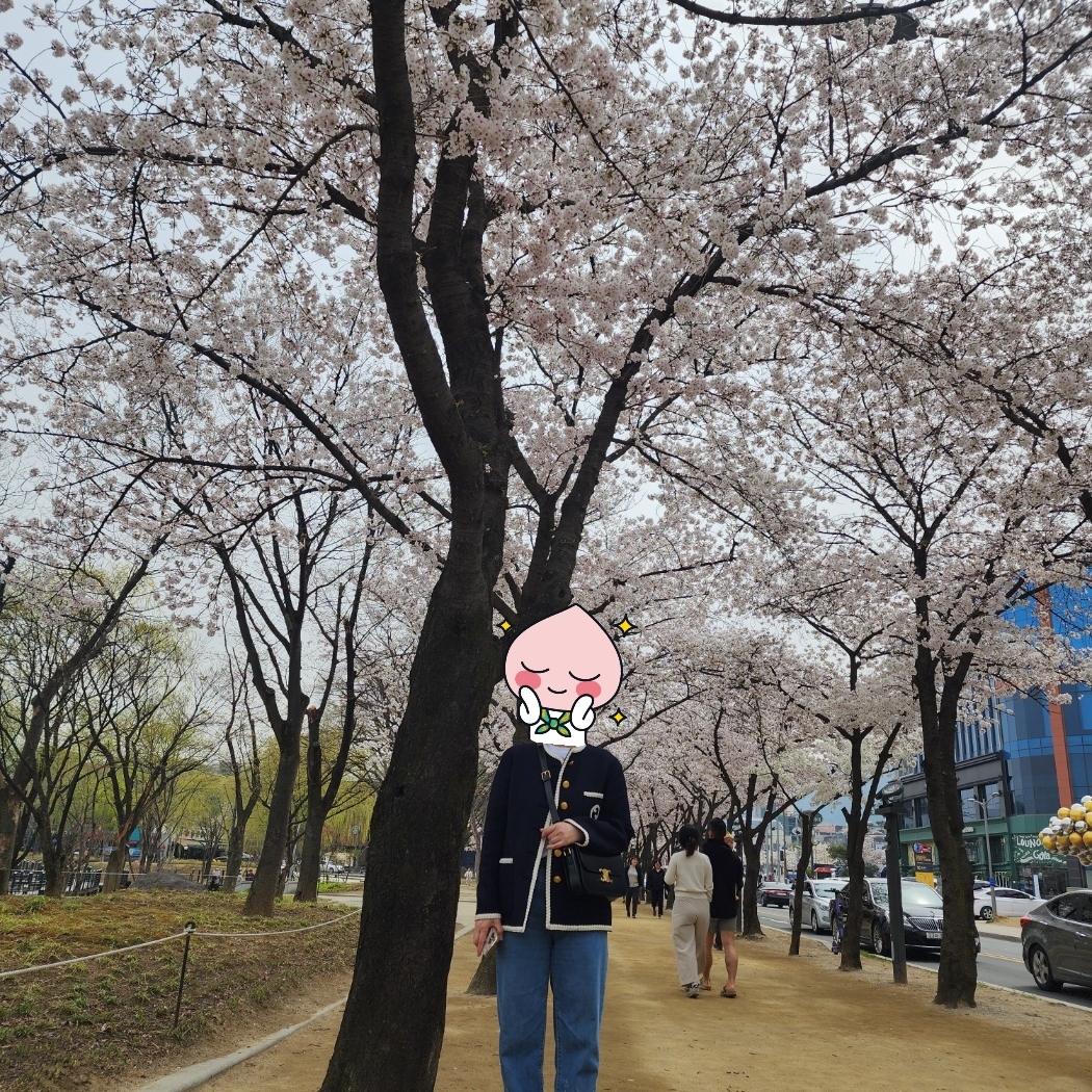 (W) Gucci Retro Tweed Jacket Dark Blue, Celine Classique Triomphe Bag in Shiny Calfskin Black 착용 스타일 - 2