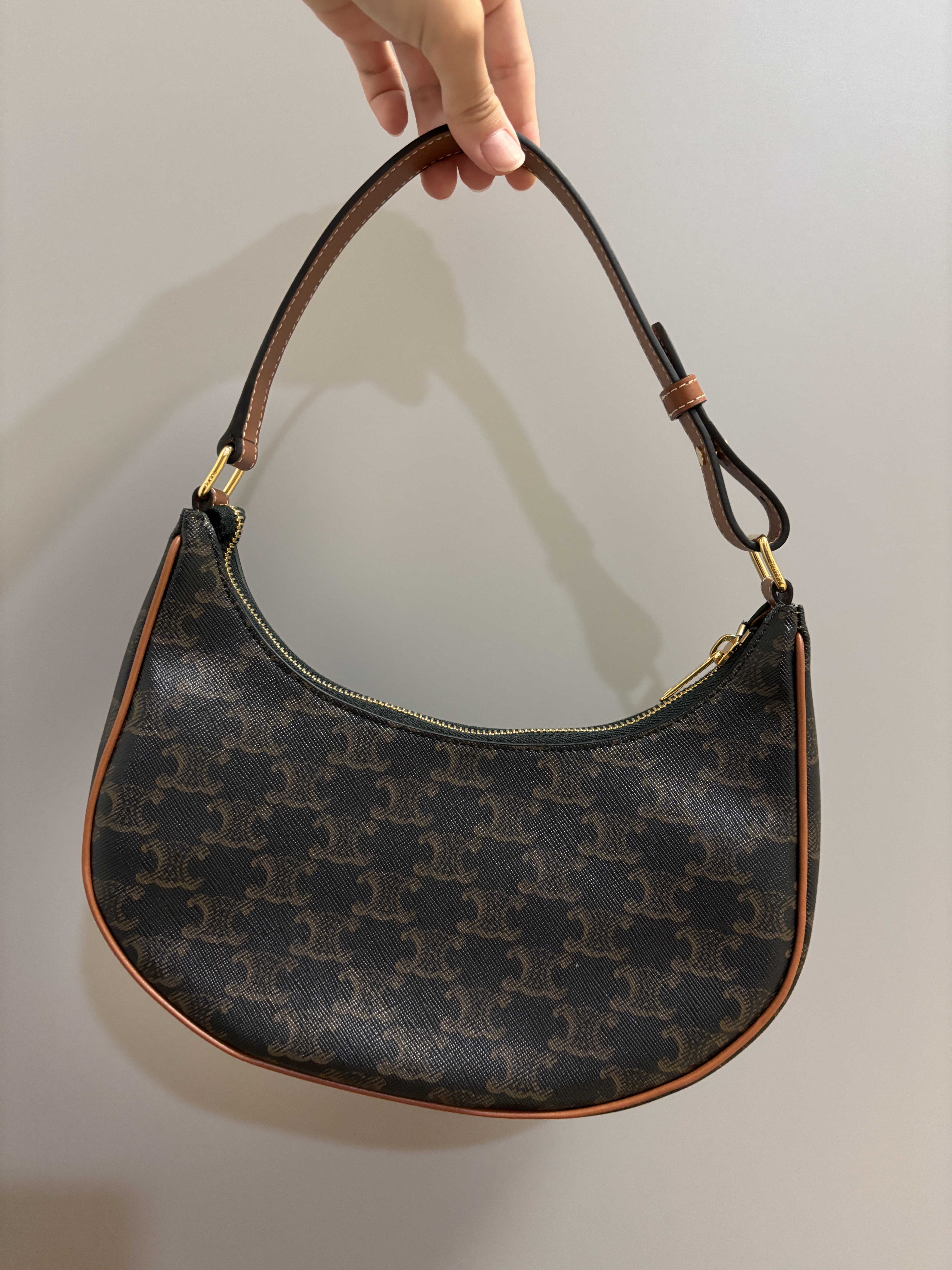 Celine Ava Bag in Triomphe Canvas and Calfskin Tan 착용 스타일