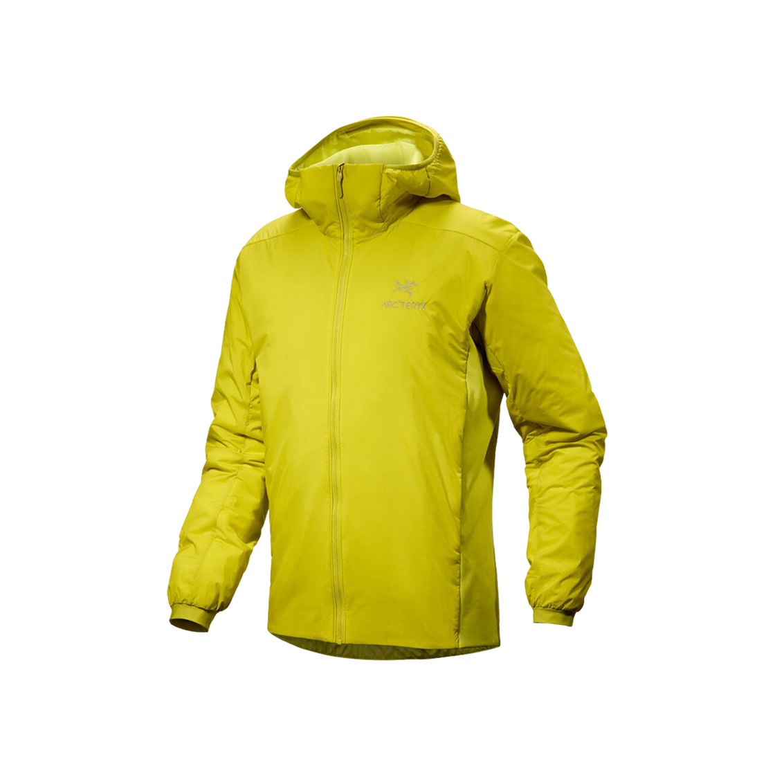 Arc'teryx Atom Hoody Lampyre 상세 이미지 1