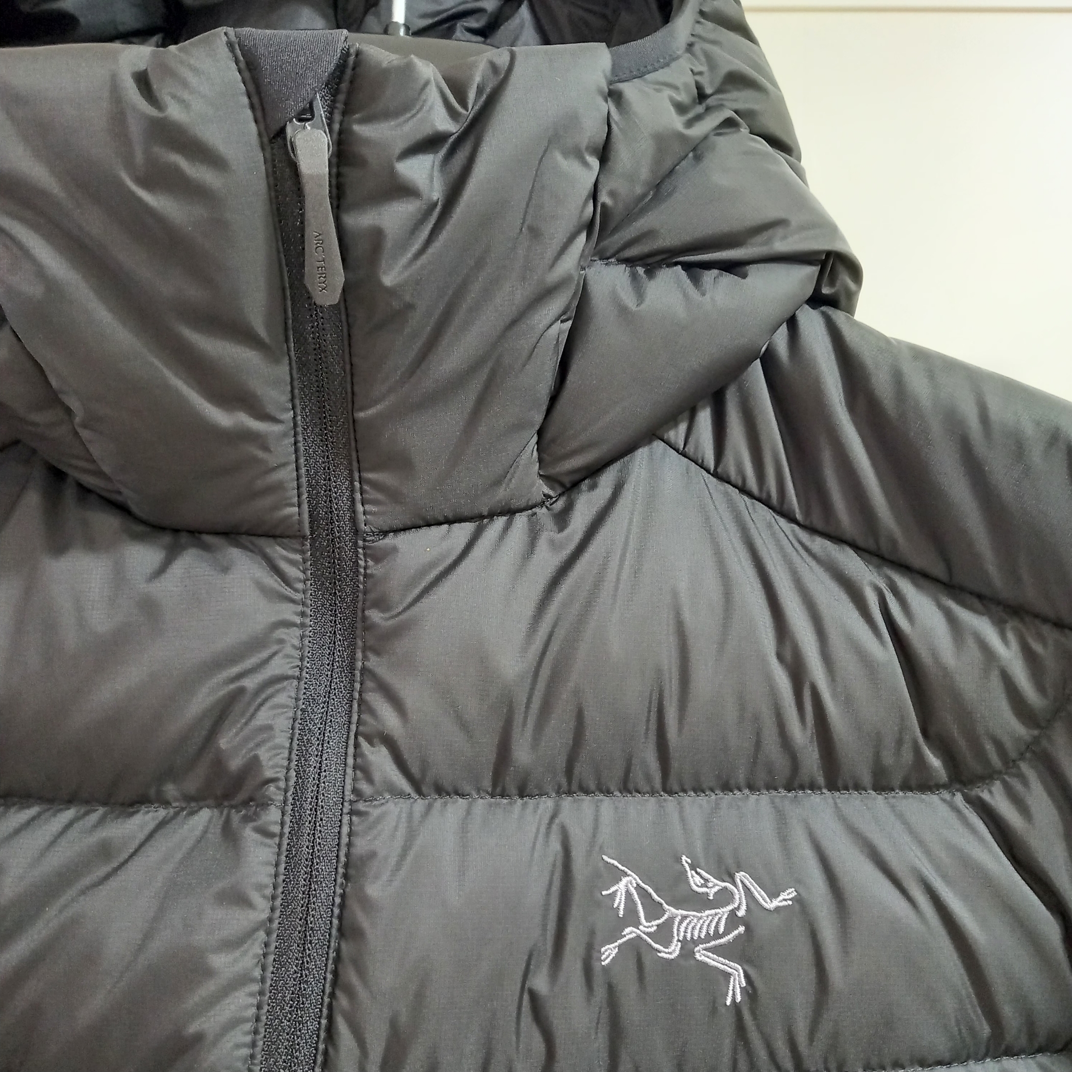 Arc'teryx Cerium Hoody Black 착용 스타일 - 3