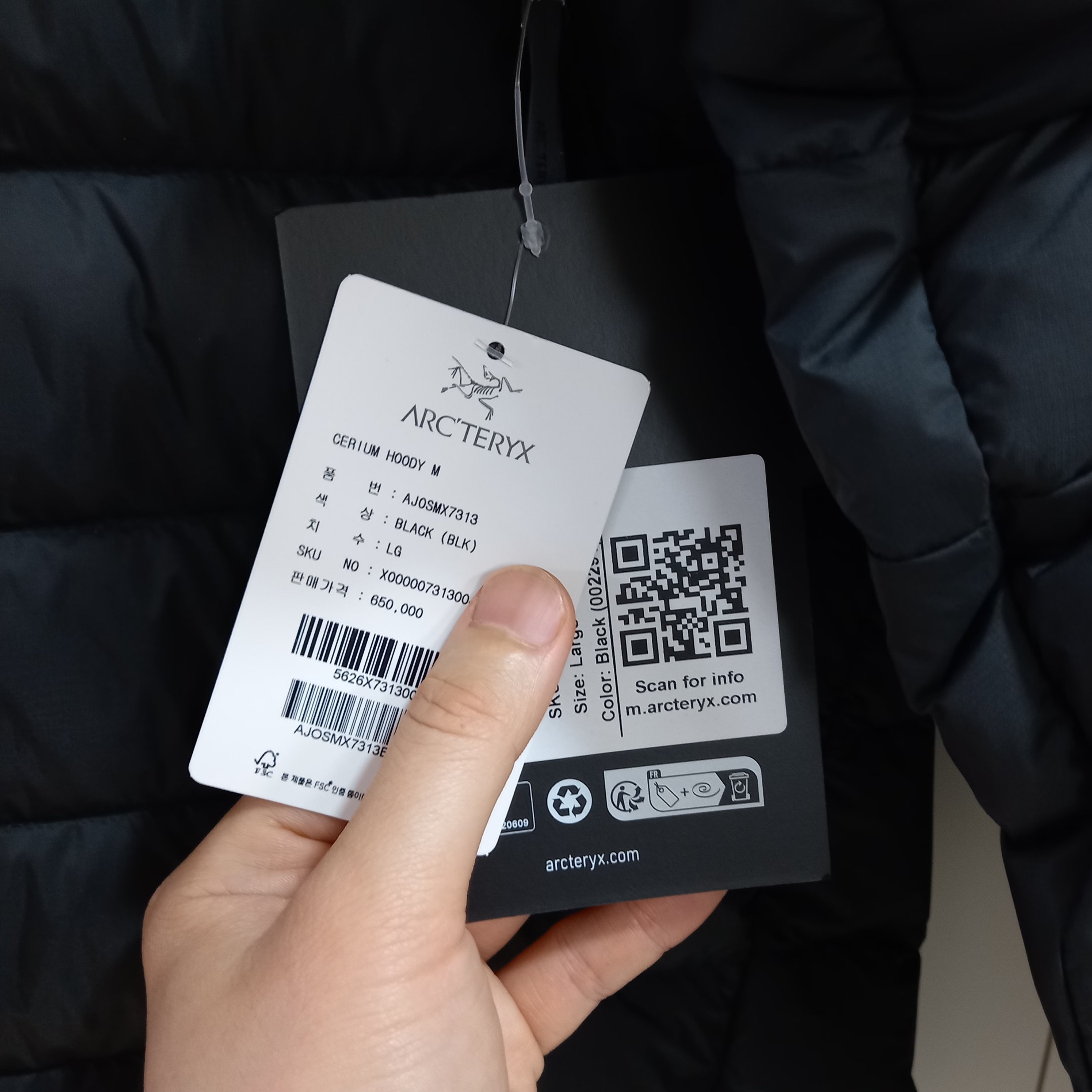 Arc'teryx Cerium Hoody Black 착용 스타일 - 6