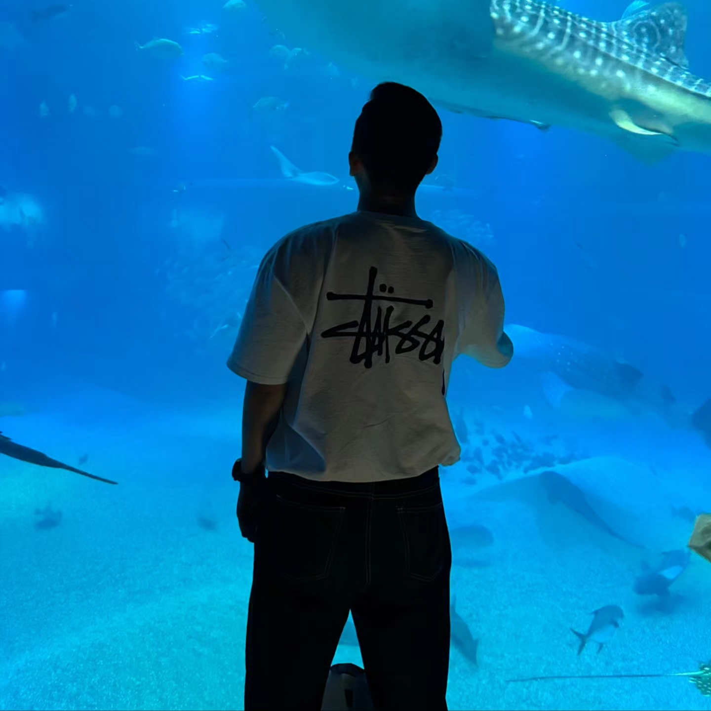 Stussy Basic Stussy T-Shirt White 2023 착용 스타일 - 2