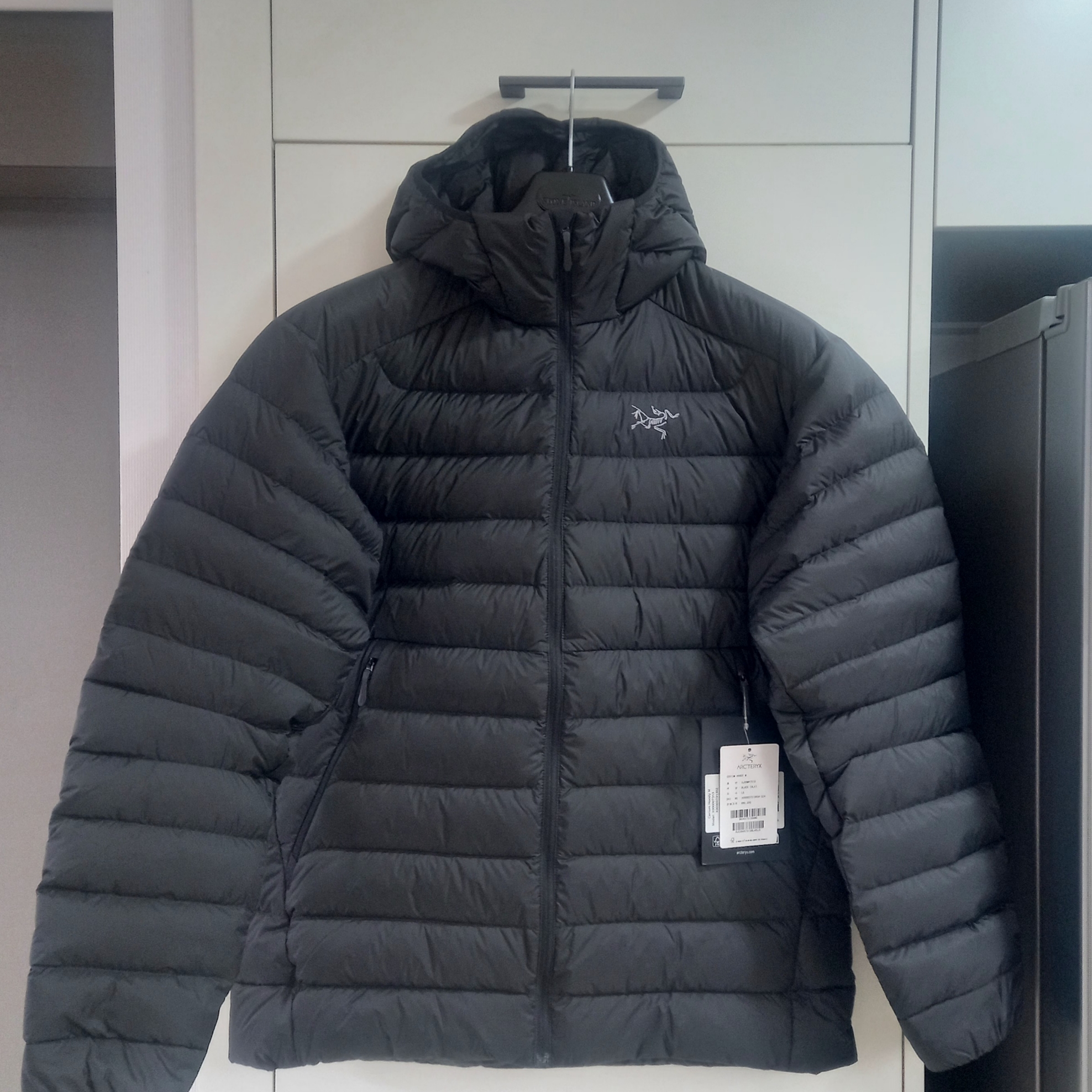 Arc'teryx Cerium Hoody Black 착용 스타일 - 1