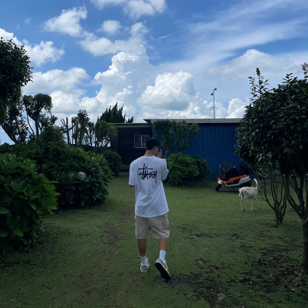 Stussy Basic Stussy T-Shirt White 2024, 2025, Jordan 1 Low World Make Japan 착용 스타일