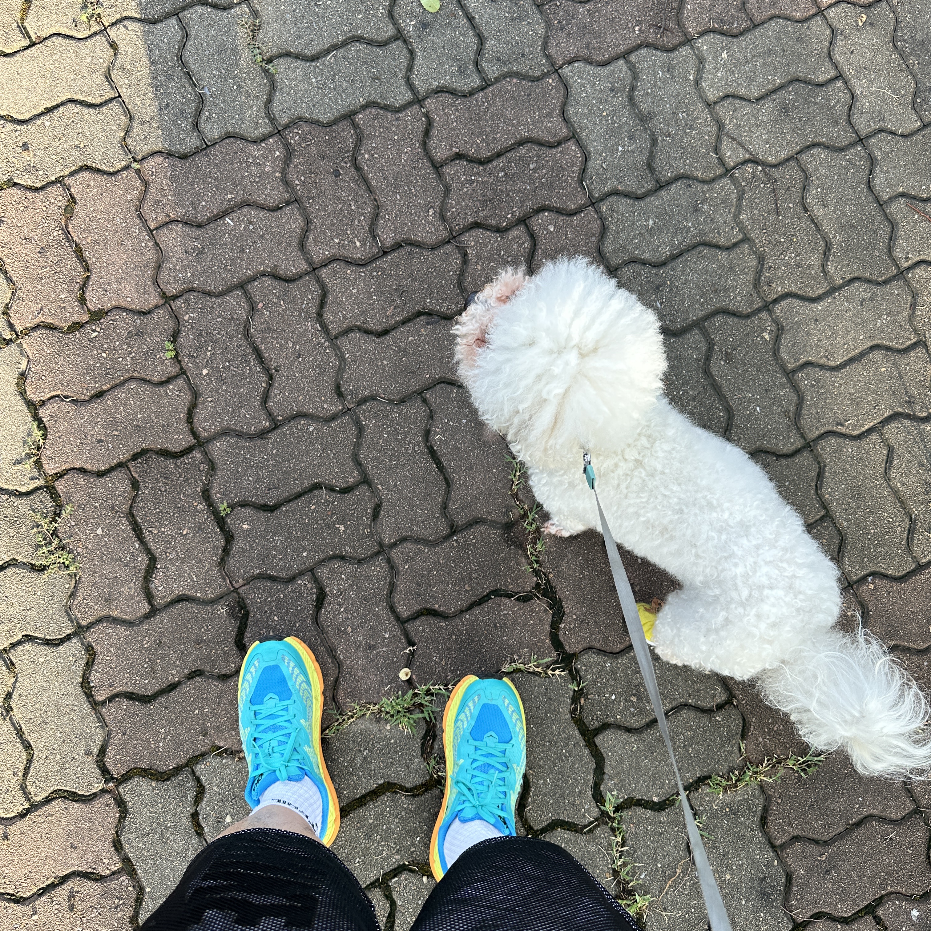 Hoka Mafate Speed 4 Deep Lake Ceramic 착용 스타일
