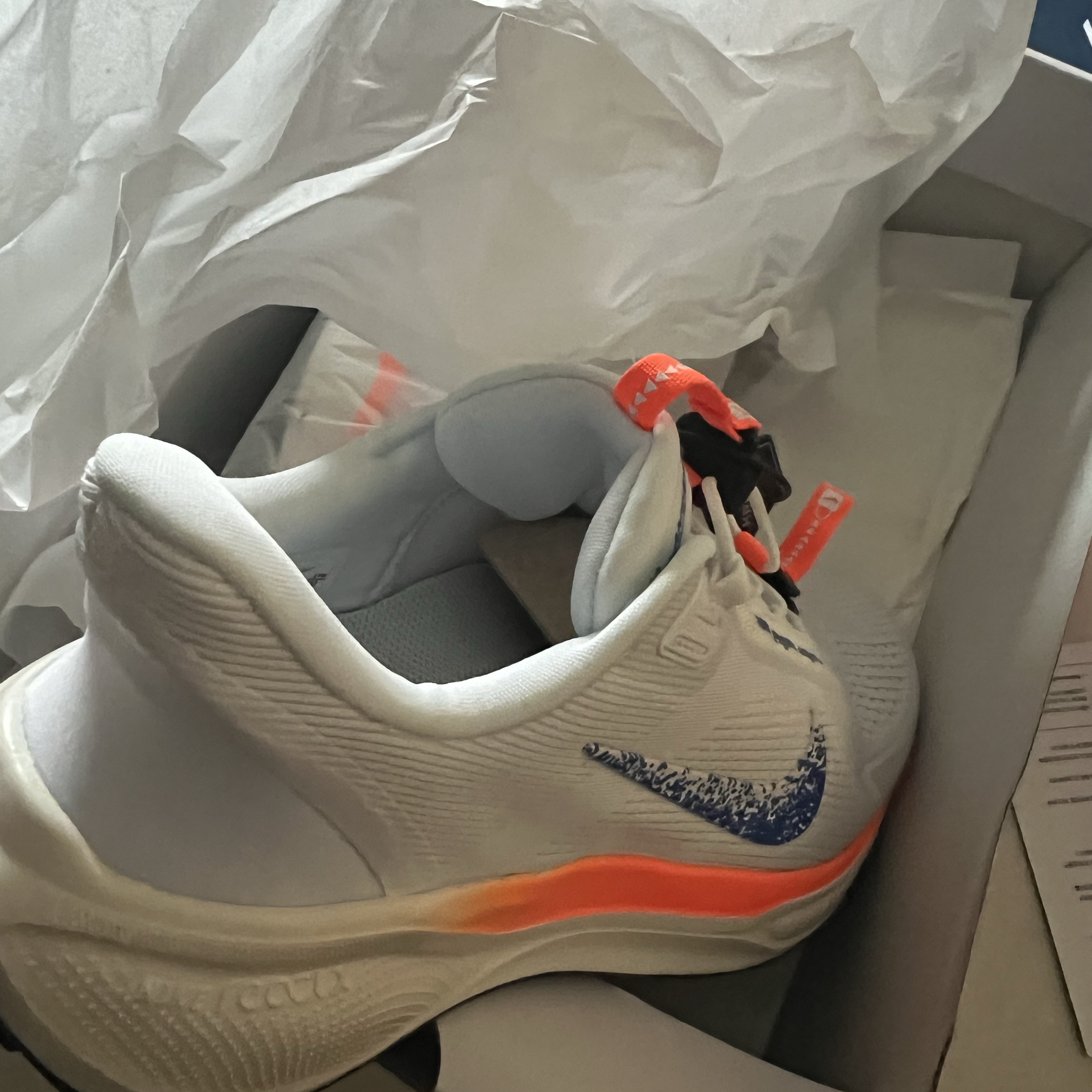 Nike Air Zoom Pegasus EasyOn Blueprint 착용 스타일