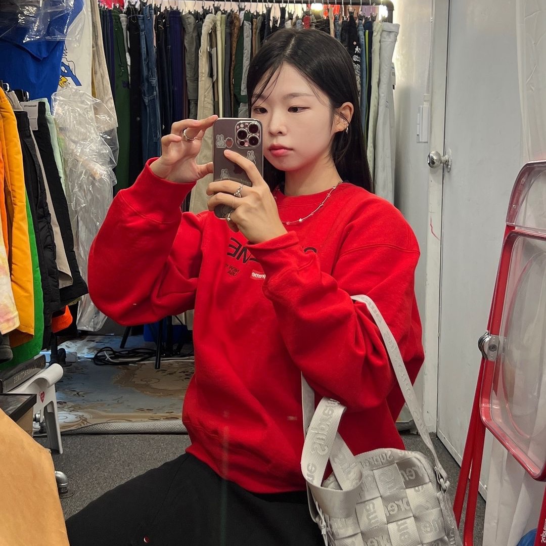 Supreme Established Crewneck Red - 24SS, Supreme Woven Shoulder Bag Grey - 24SS 착용 스타일 - 3