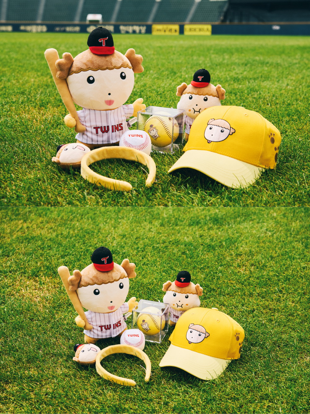 LG트윈스 x 마루는강쥐 기념구 | LG TWINS x Maru is a Puppy | KREAM [즉시배송] LG TWINS x Maru is a Puppy Commemorative Baseball