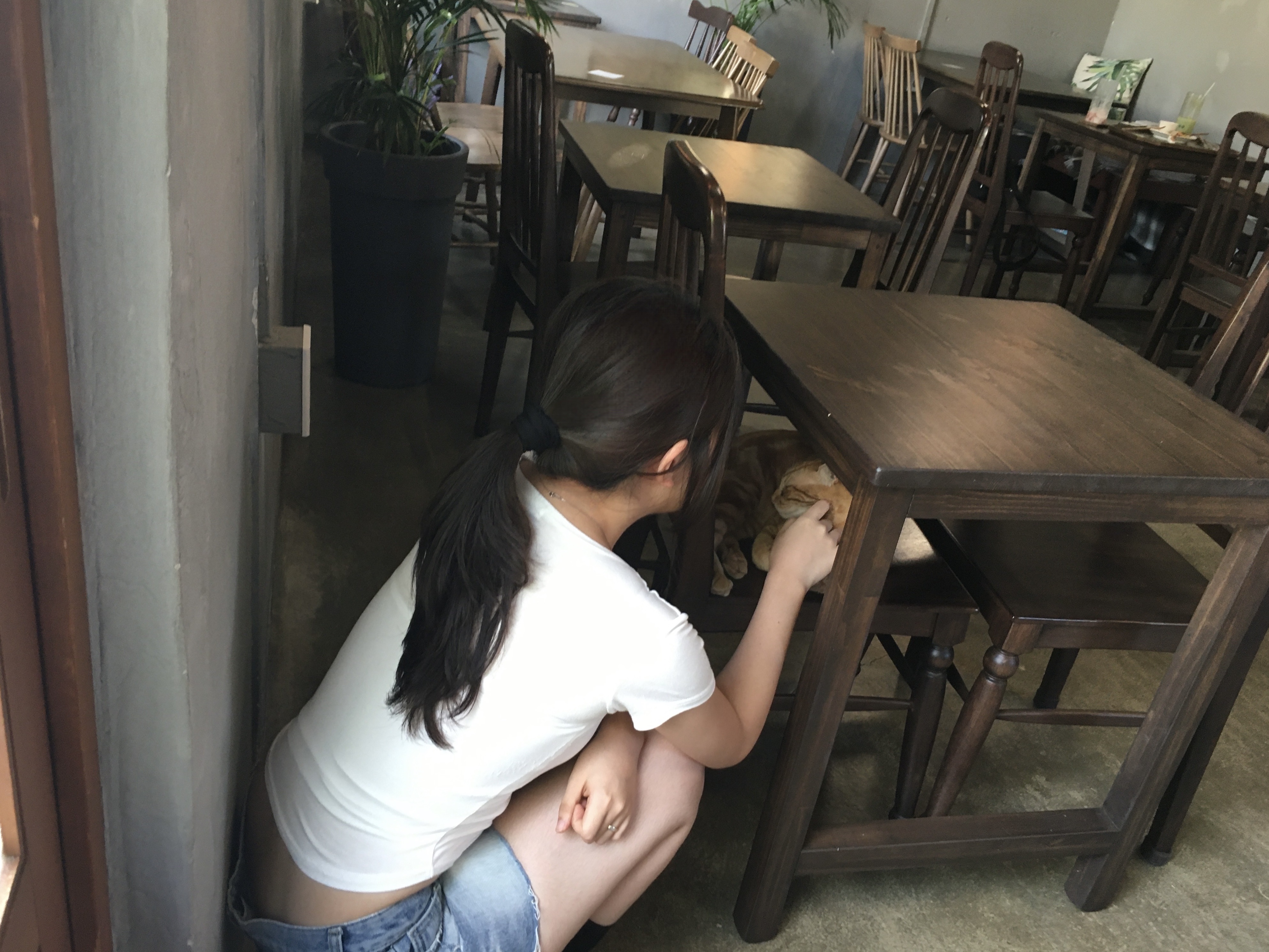 예림님의 스타일 - 2