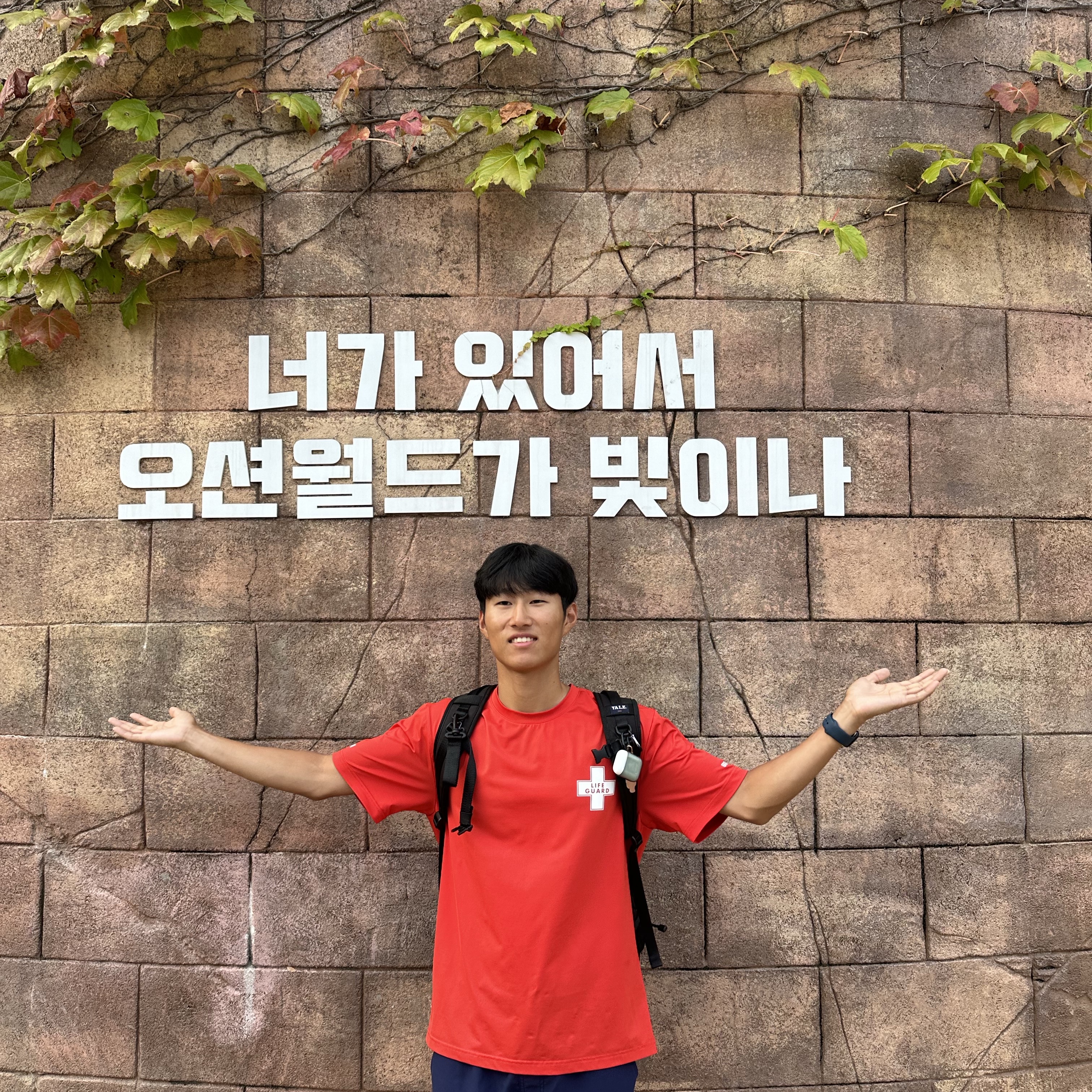 Apple AirPods 2nd Gen (Korean Ver.) 착용 스타일