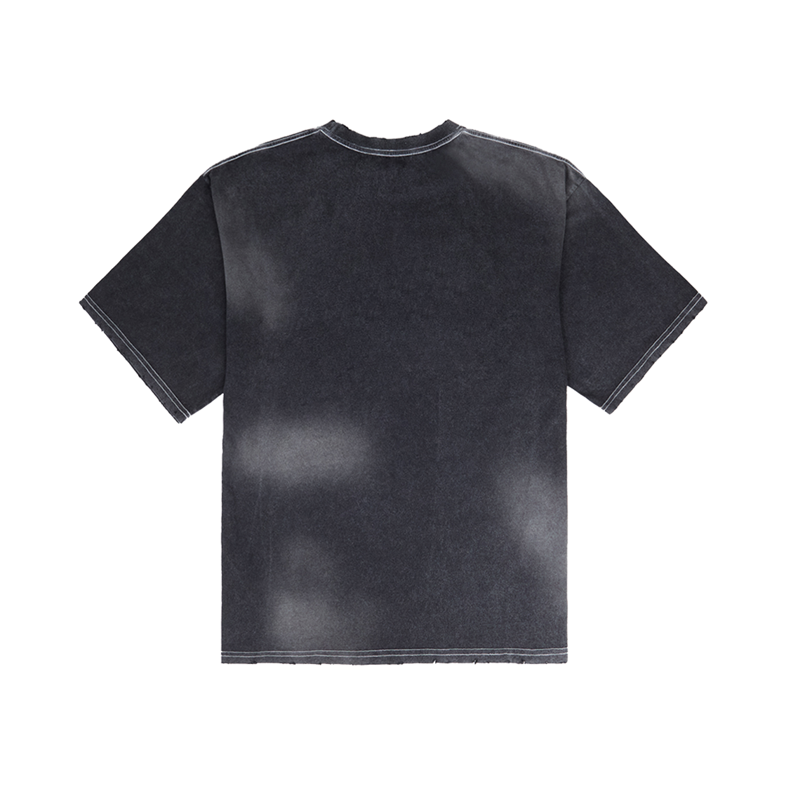 도미넌트 드래곤 워싱 티셔츠(Dominant Dragon Washing Tshirts) - 2