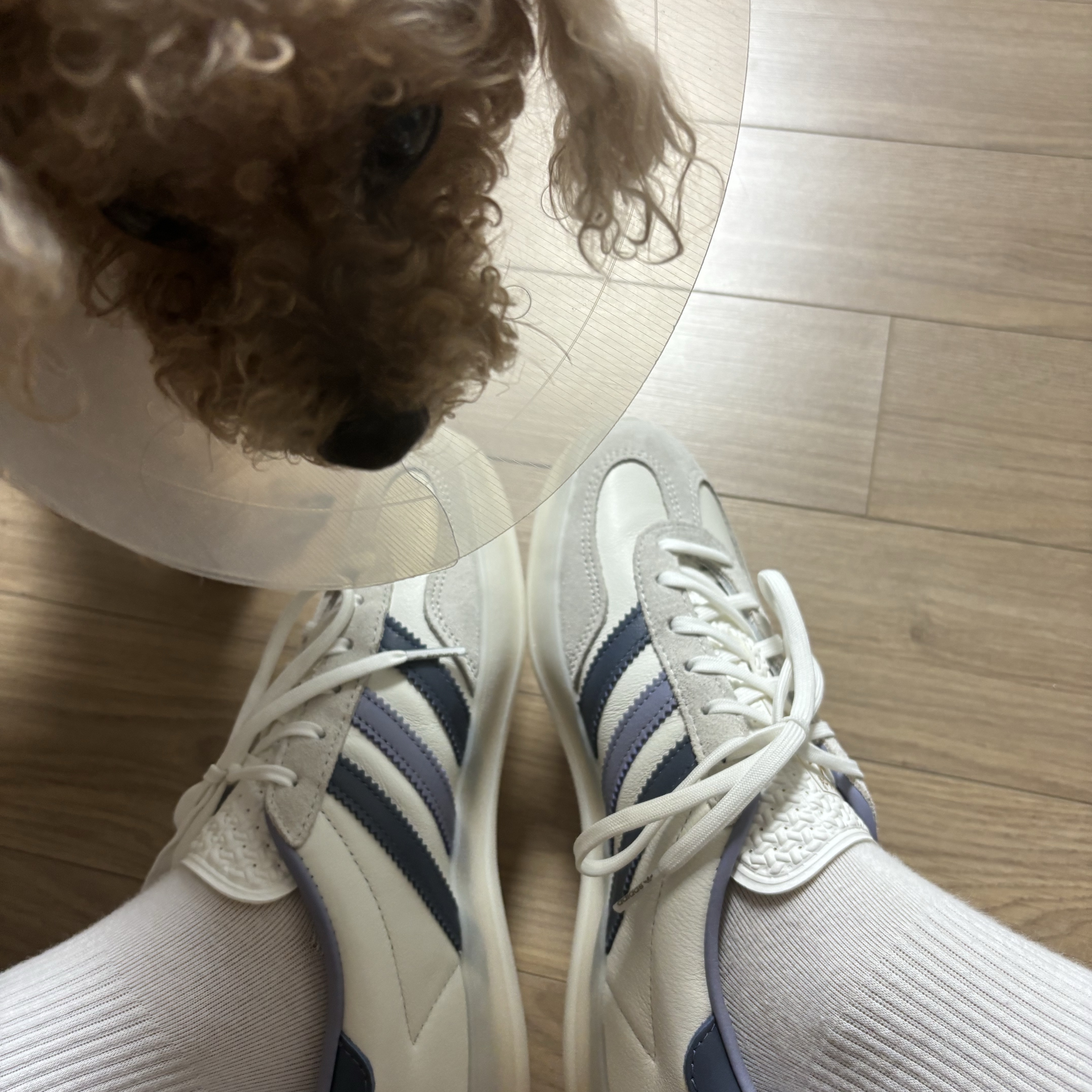 Adidas Gazelle Indoor Core White Preloved Ink 착용 스타일 - 1