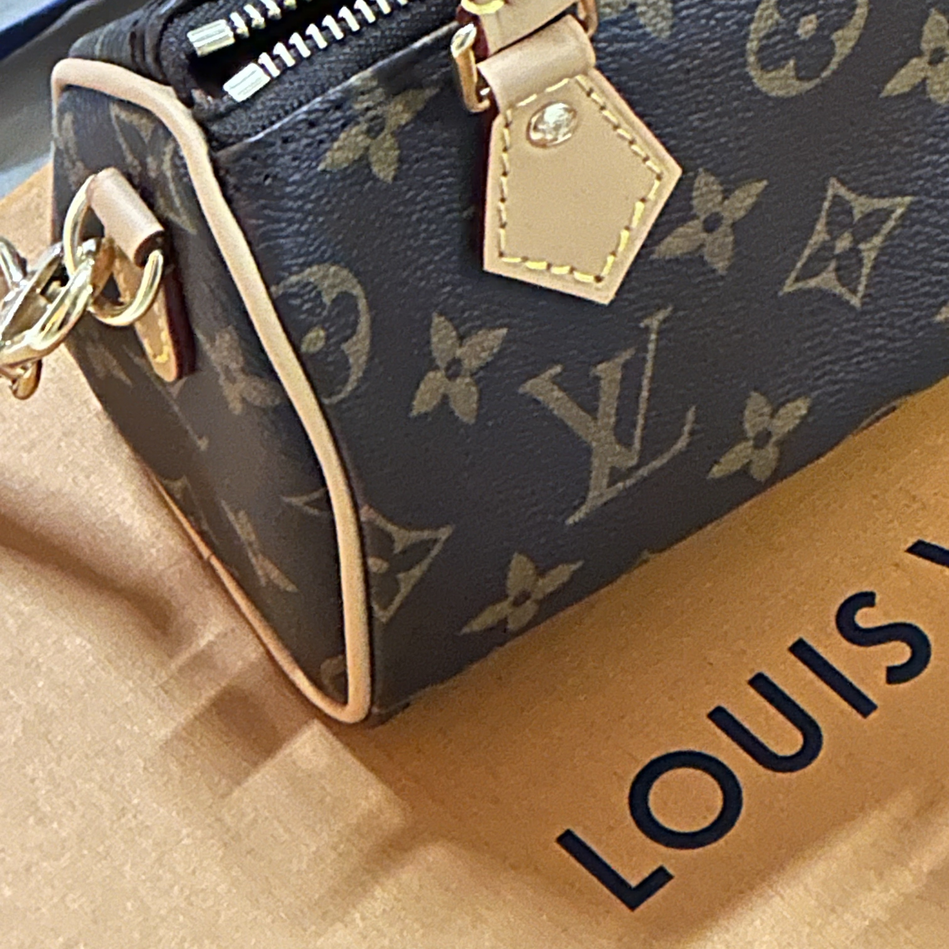 Louis Vuitton Nano Speedy Monogram 착용 스타일 - 2