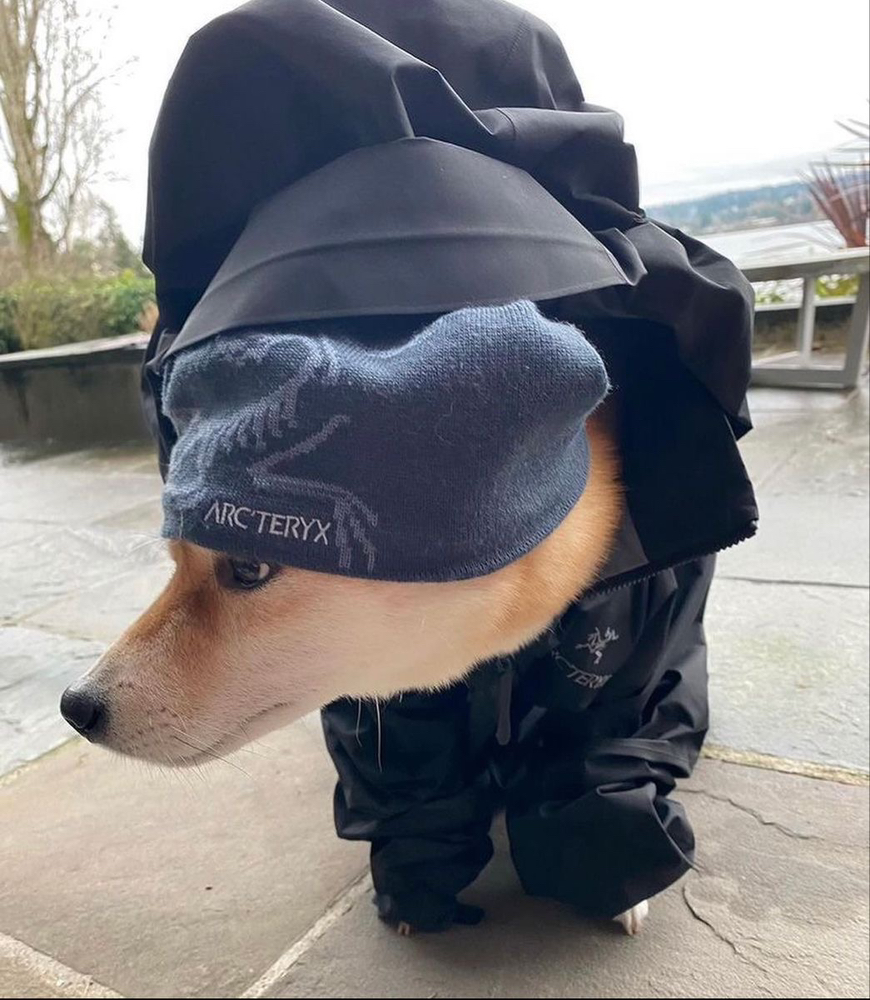 KREAM 프로필 이미지