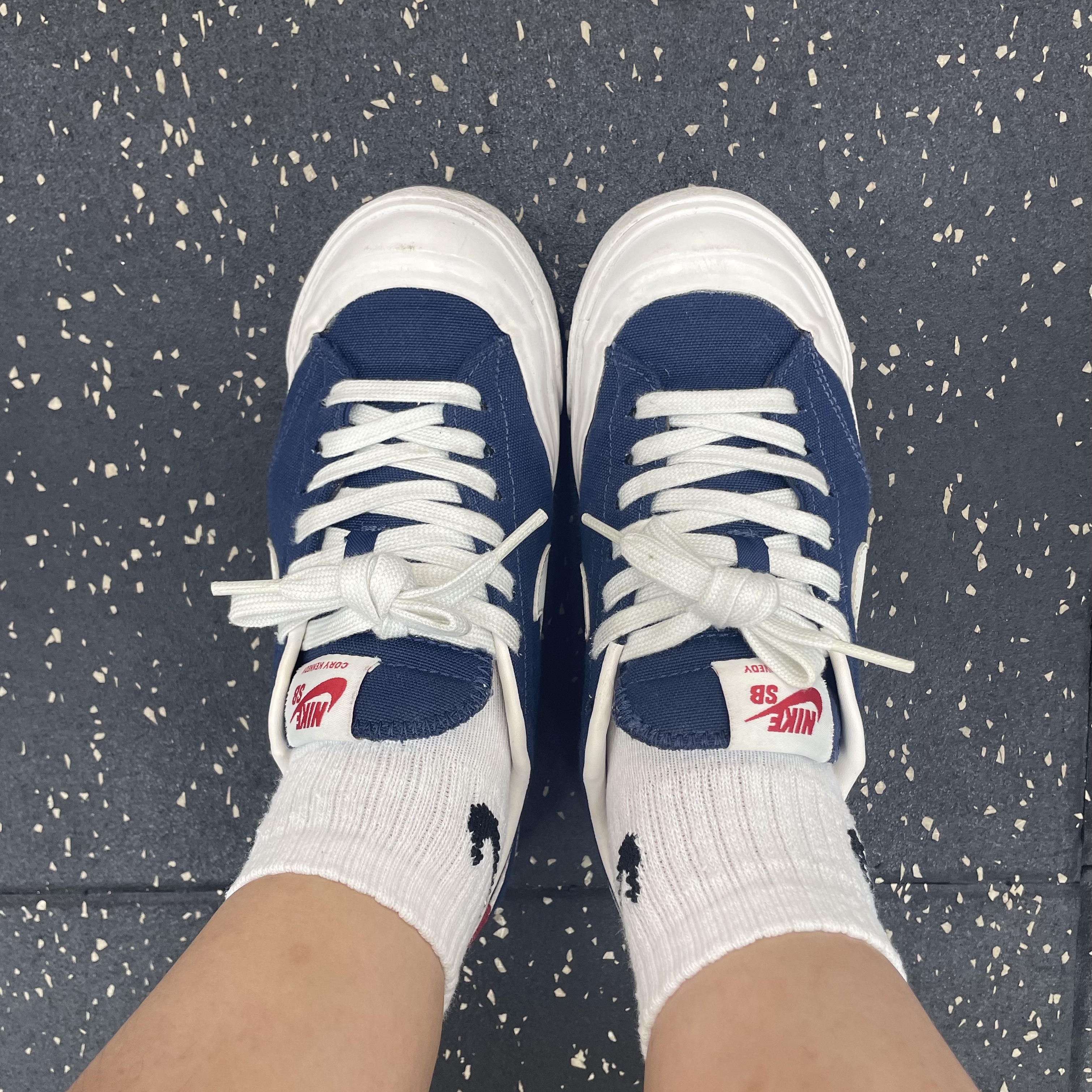 Nike SB Zoom All Court CK QS  착용 스타일 - 2