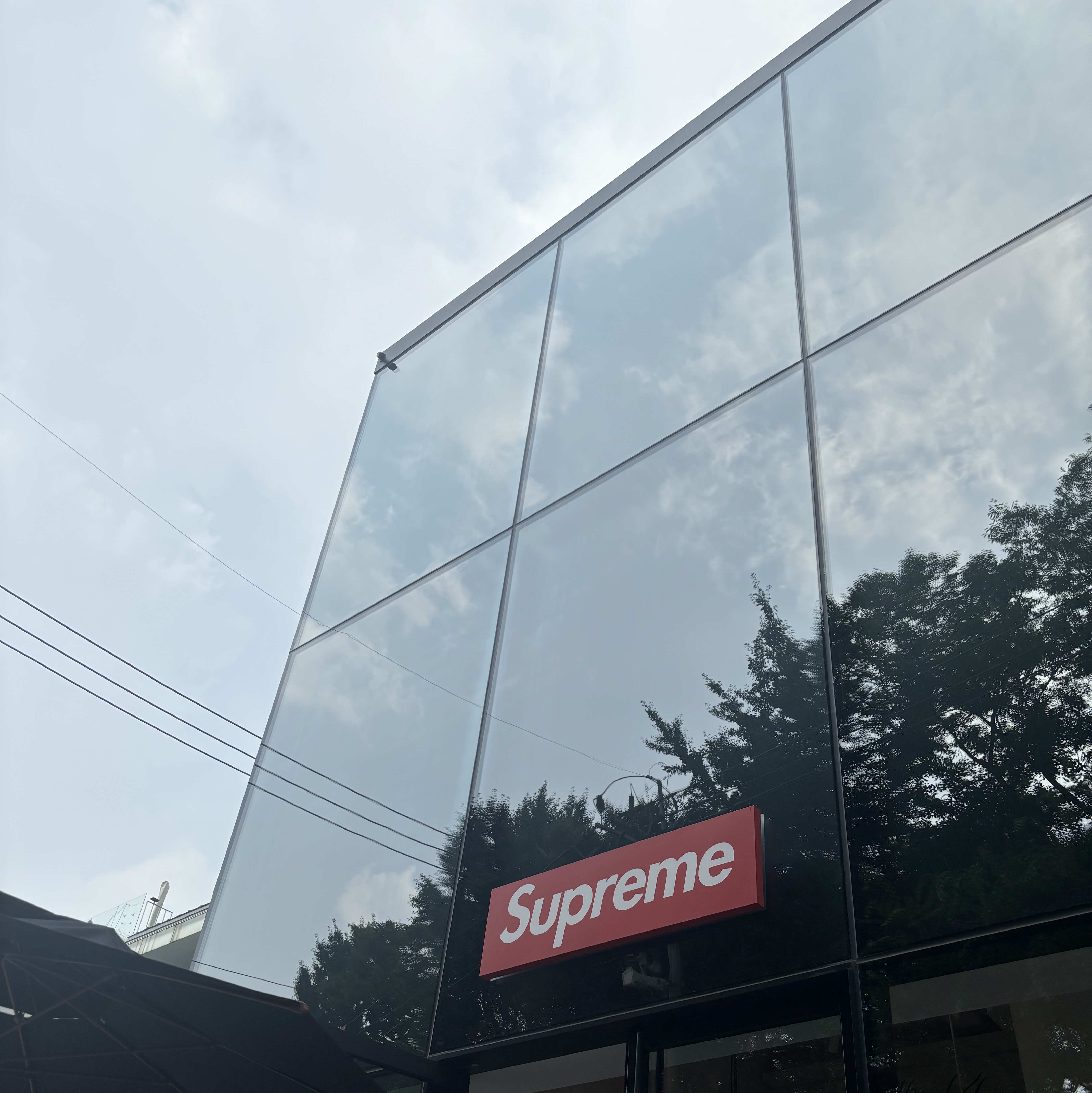 Supreme Seersucker S Logo 6-Panel Woodland Camo - 24SS 착용 스타일 - 3
