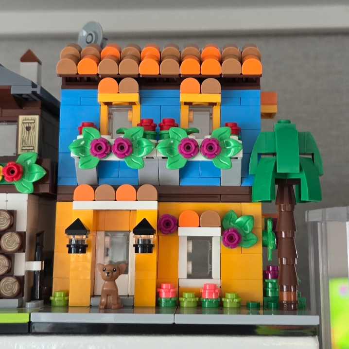 Lego Houses of The World 1 착용 스타일
