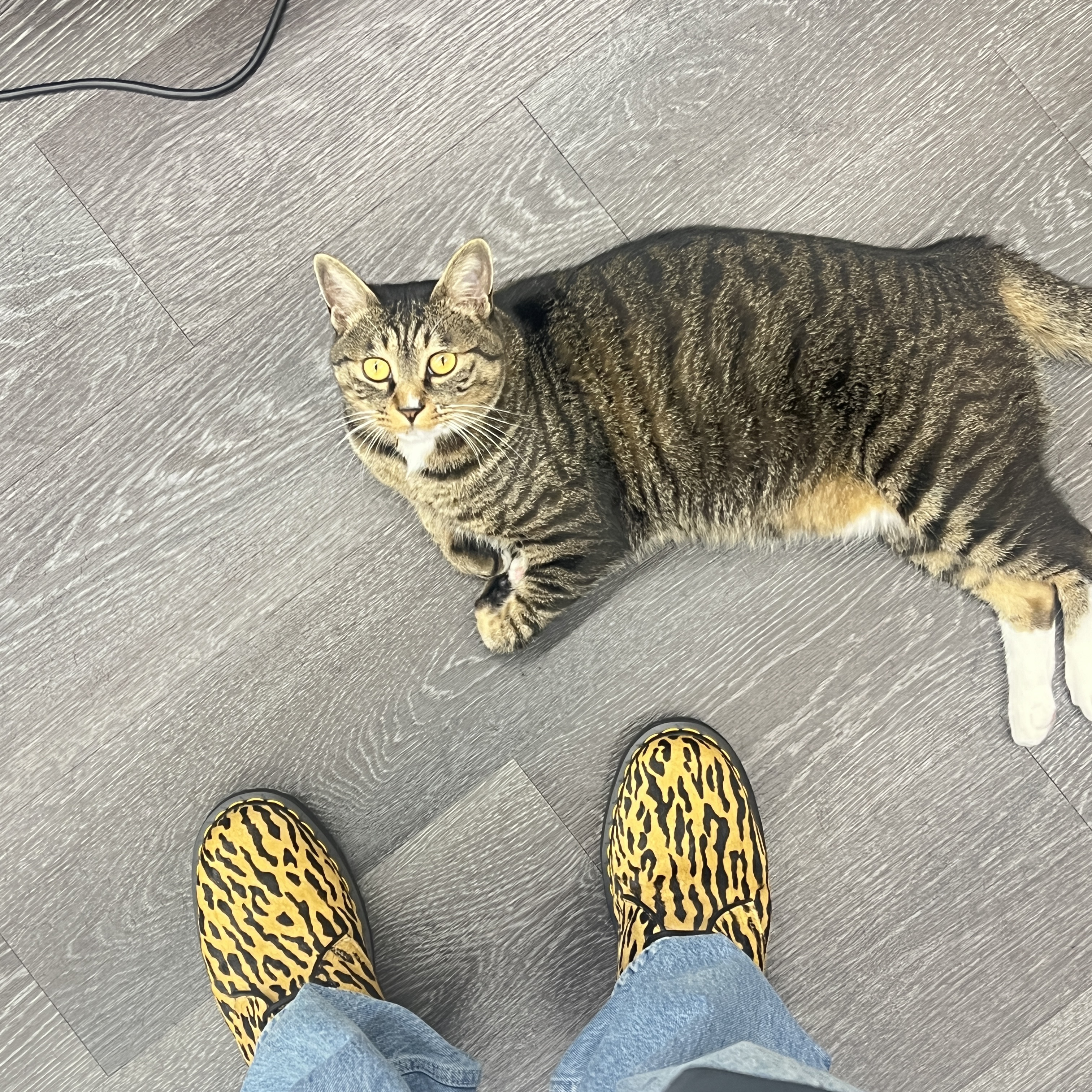 Dr. Martens x Wacko Maria 1461 Tiger Camo Hair On Camel Black 착용 스타일