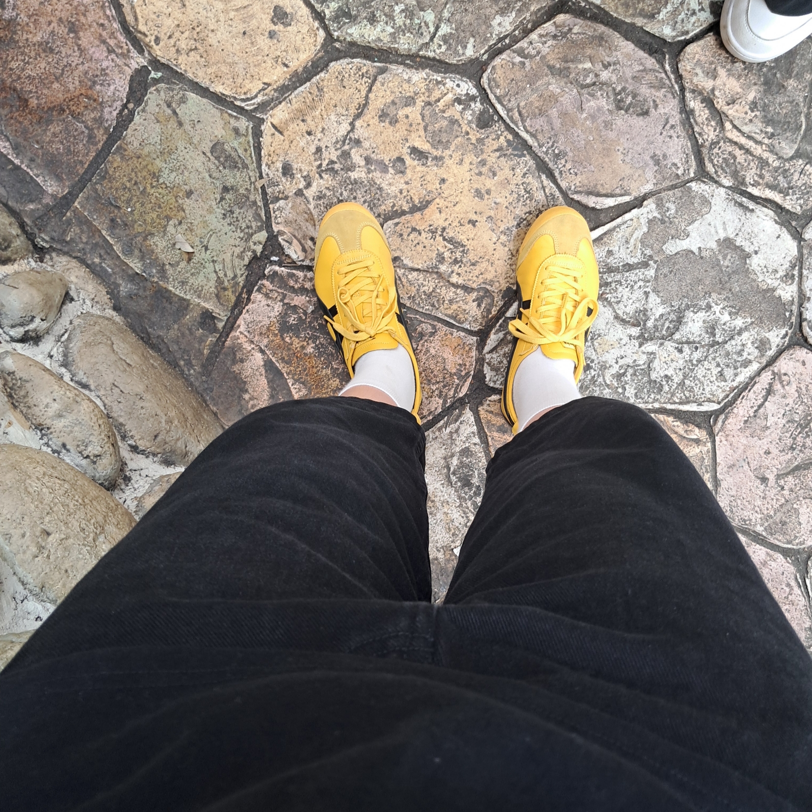 Onitsuka Tiger Mexico 66 Yellow Black 착용 스타일