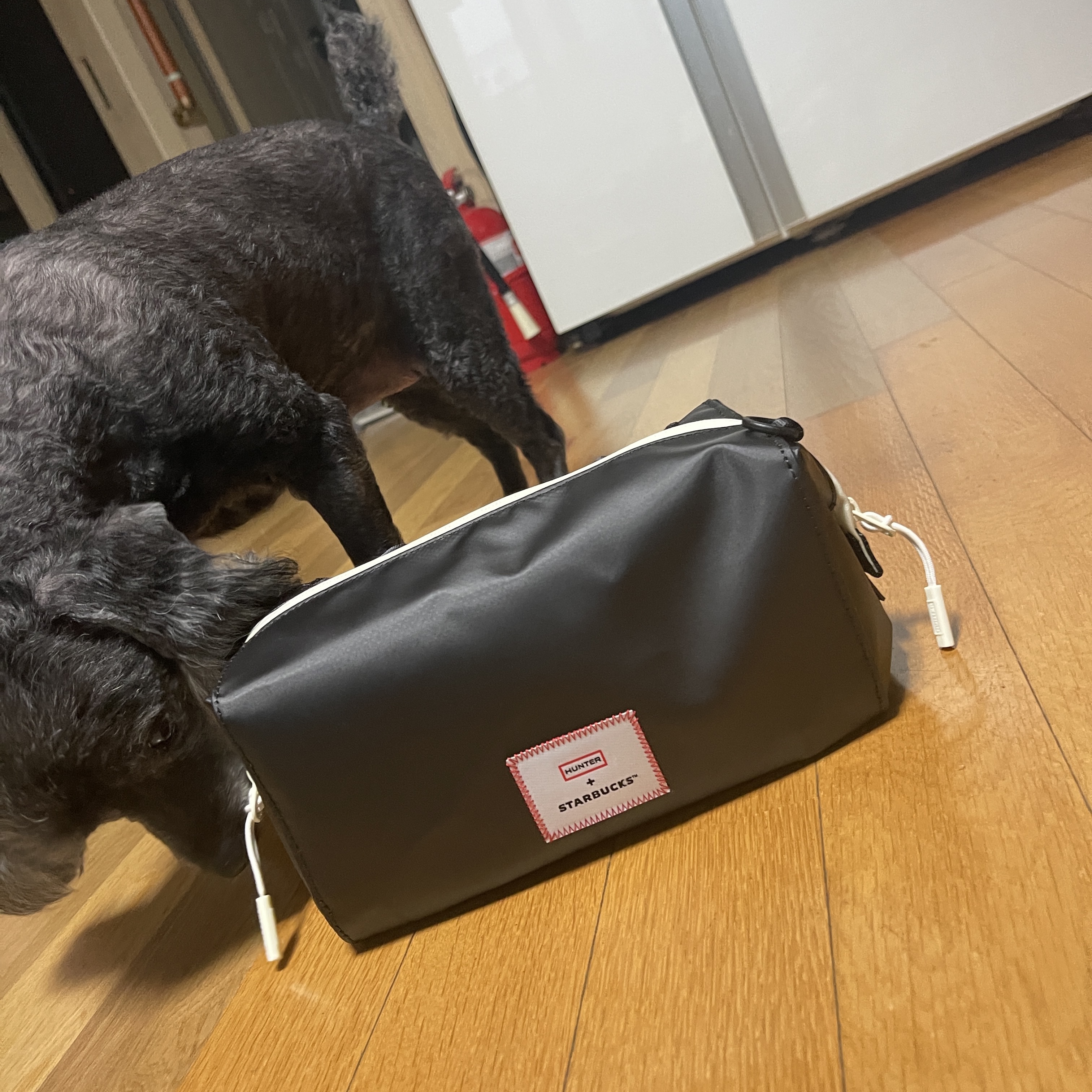 Starbucks x Hunter Two Way Pouch Black 착용 스타일