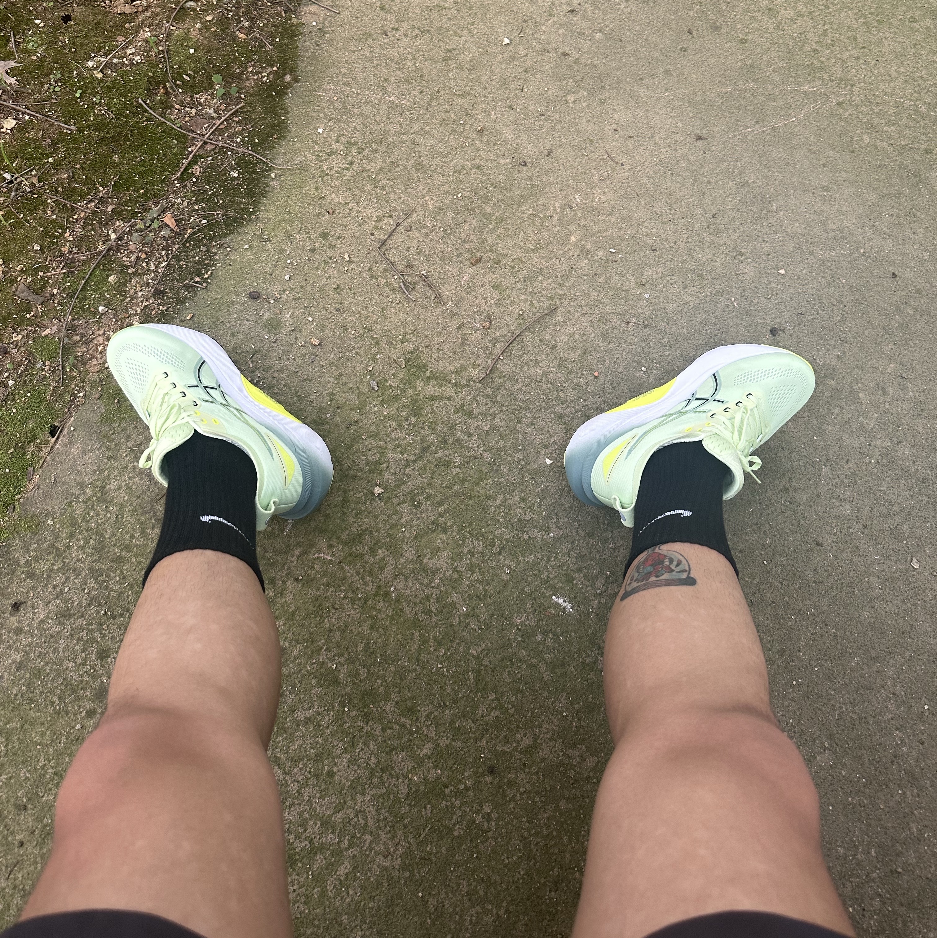 Asics Gel-Kayano 31 Cool Matcha Celadon - 4E Extra Wide 착용 스타일