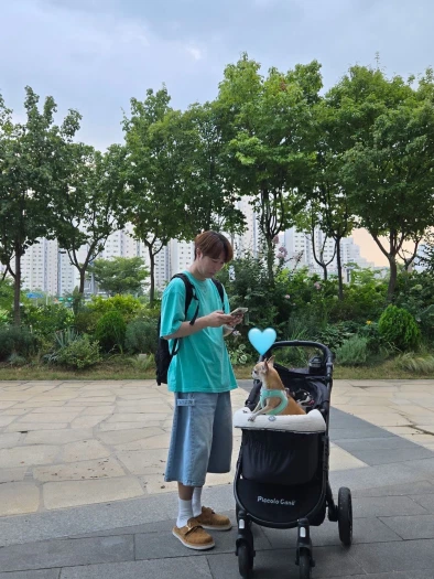 스타일 카드