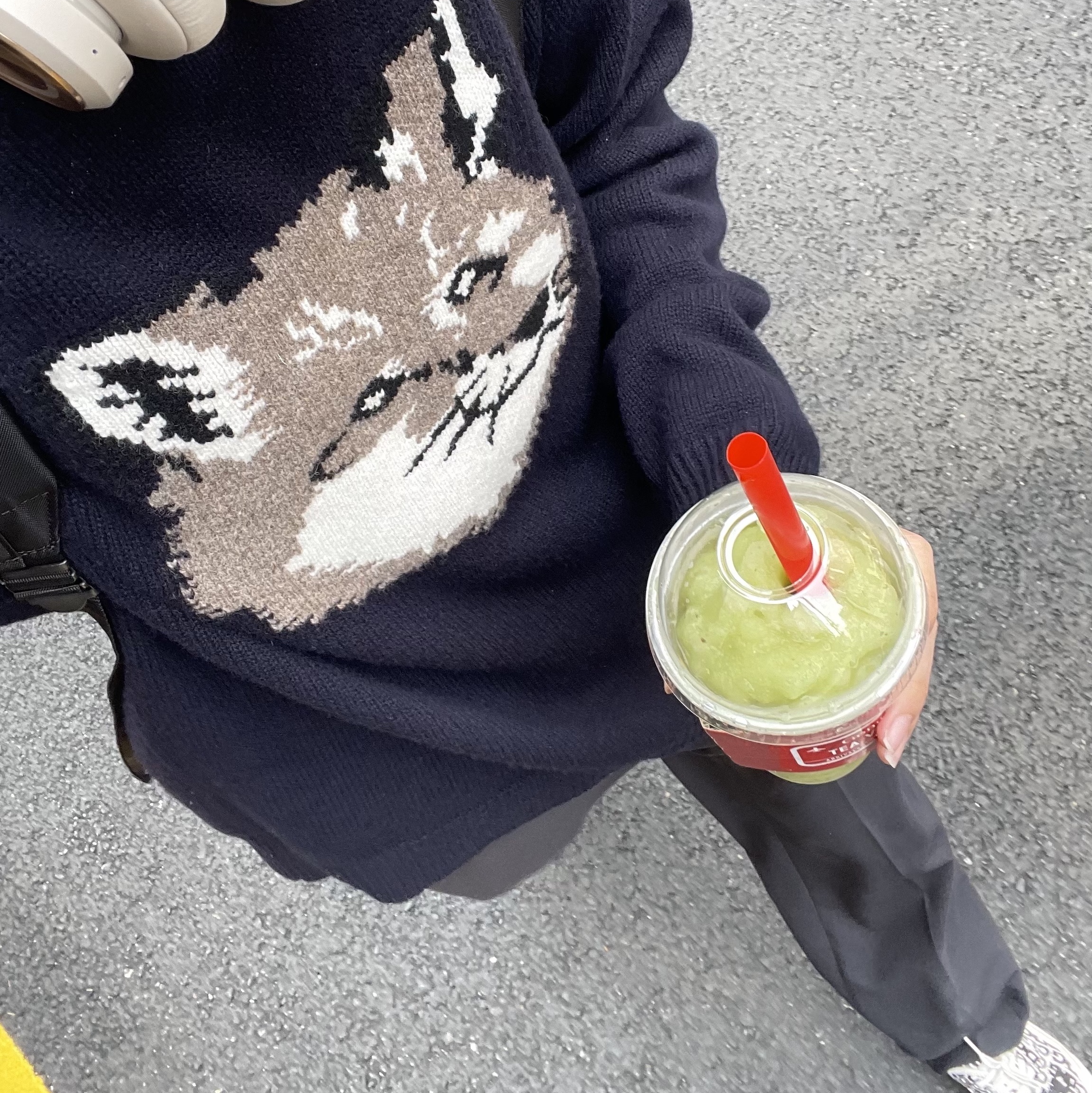 Bang & Olufsen Beoplay HX Gold Tone (Korean Ver.), Maison Kitsune Big Fox Head Pullover Knit Navy 착용 스타일
