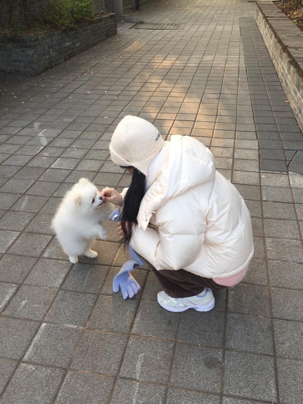 Siyazu SIOT4090 Duck Down Glossy Hoodie Jacket Pearl Cream 착용 스타일 - 2