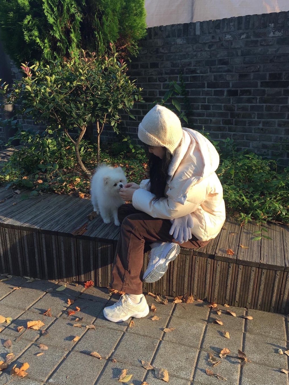 Siyazu SIOT4090 Duck Down Glossy Hoodie Jacket Pearl Cream 착용 스타일 - 3