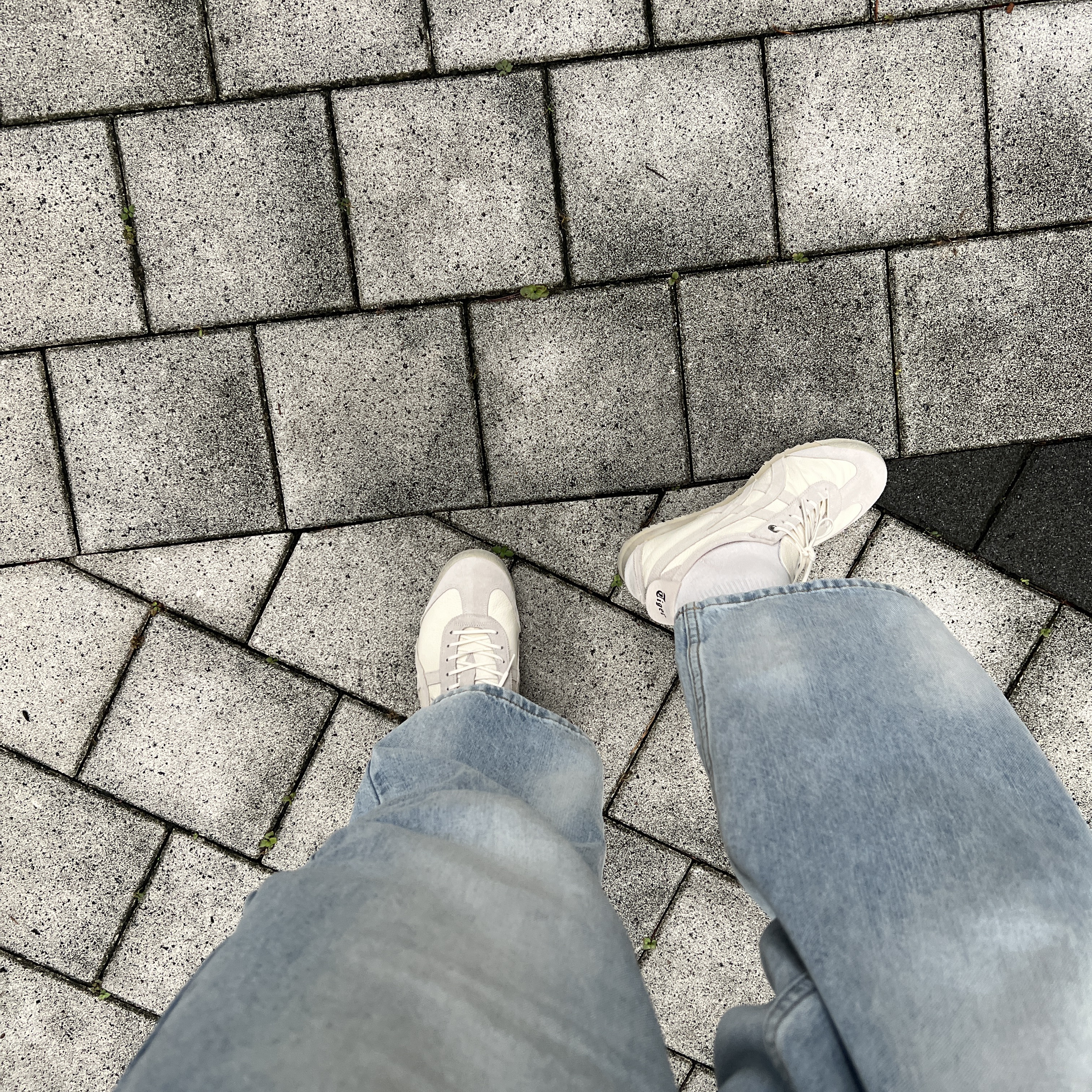 Onitsuka Tiger Mexico 66 SD Cream Birch 착용 스타일