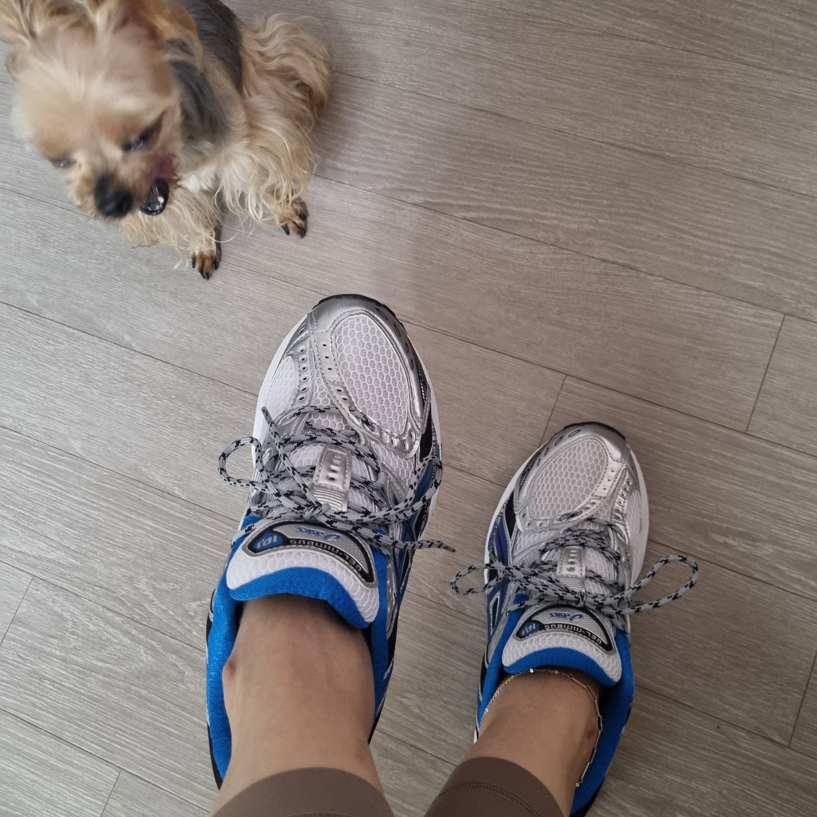 Asics Gel-Nimbus 10.1 White Directoire Blue 착용 스타일