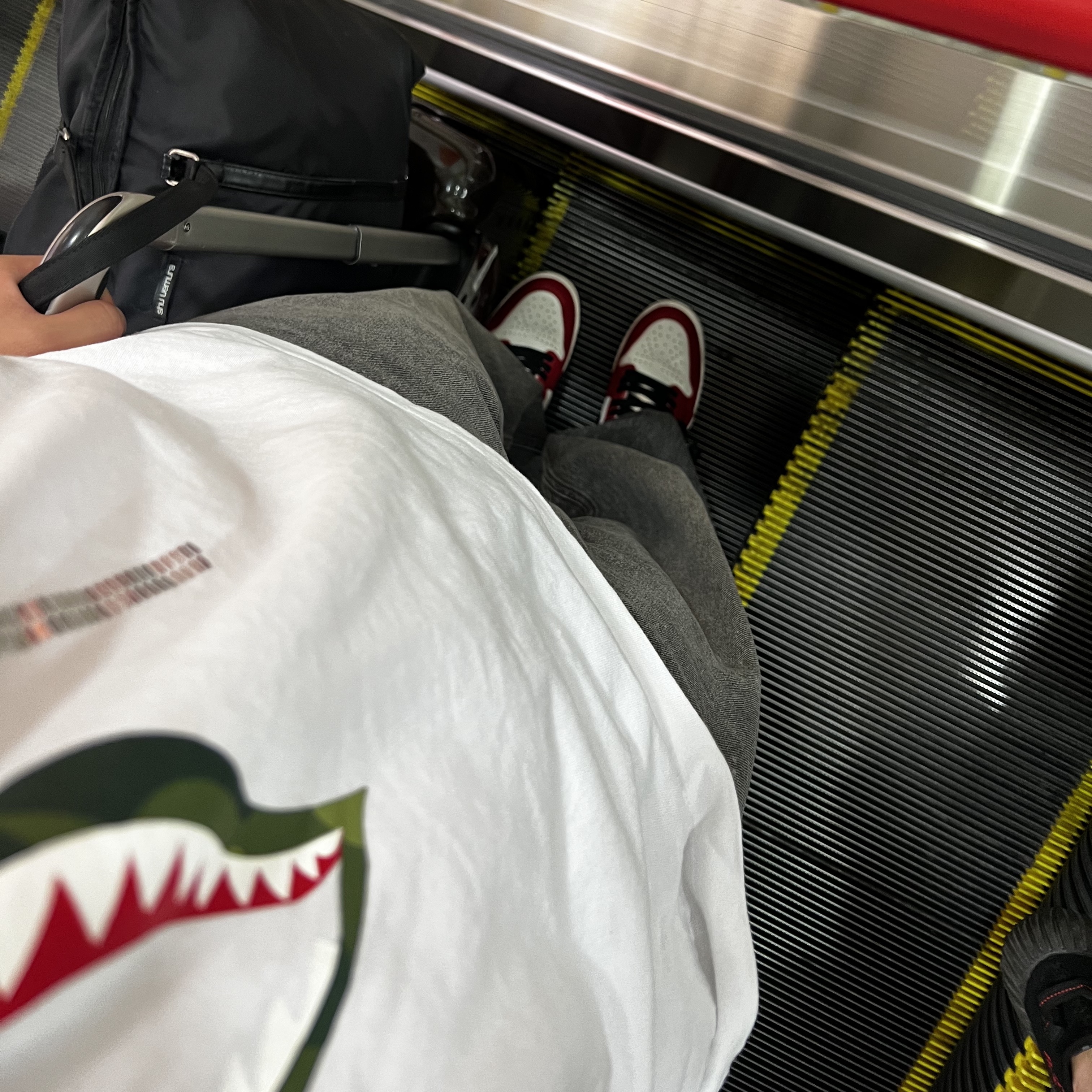 BAPE Shark T-Shirt White, Jordan 1 Retro High OG Chicago 2022 착용 스타일