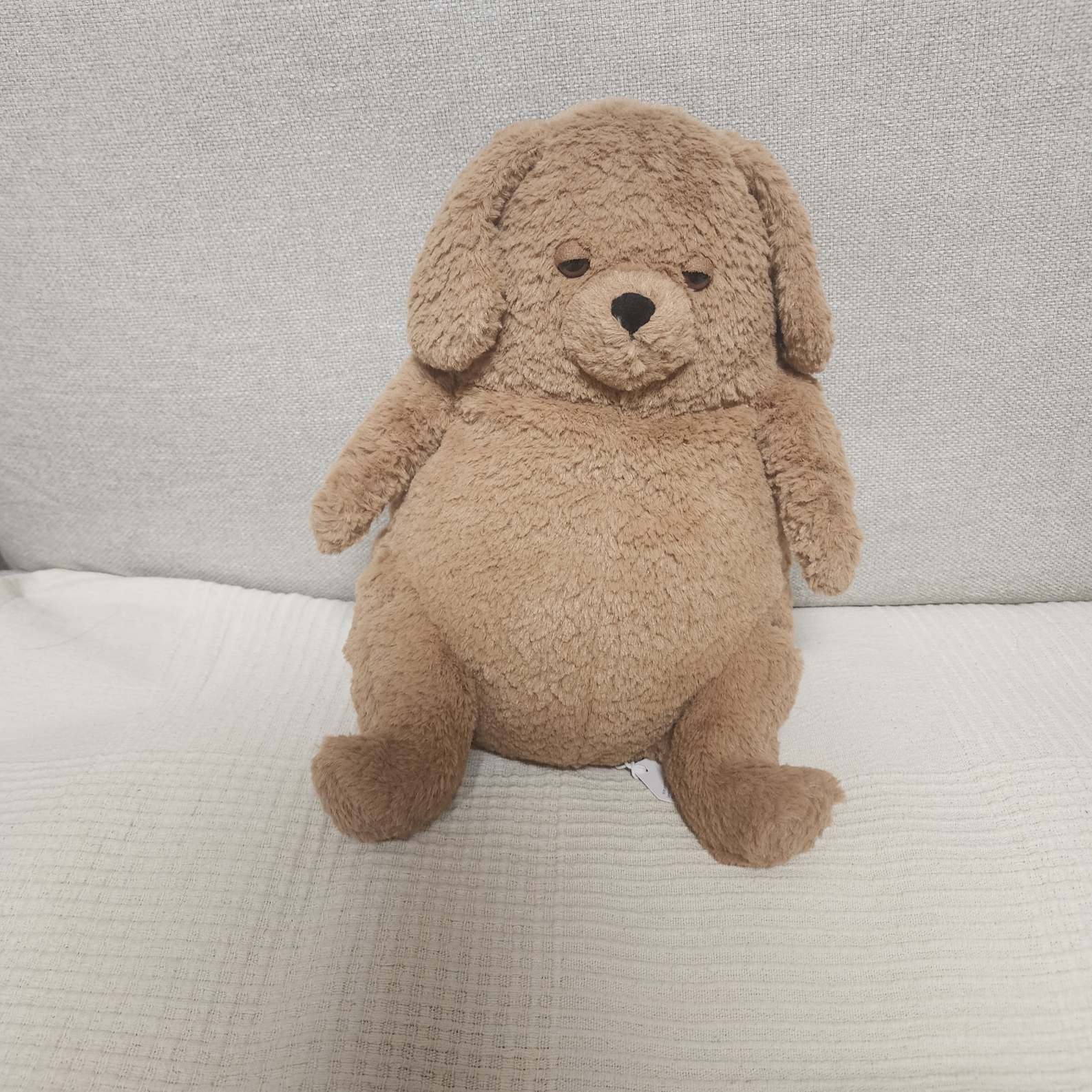 Jellycat Amore Dog Brown 착용 스타일 - 2