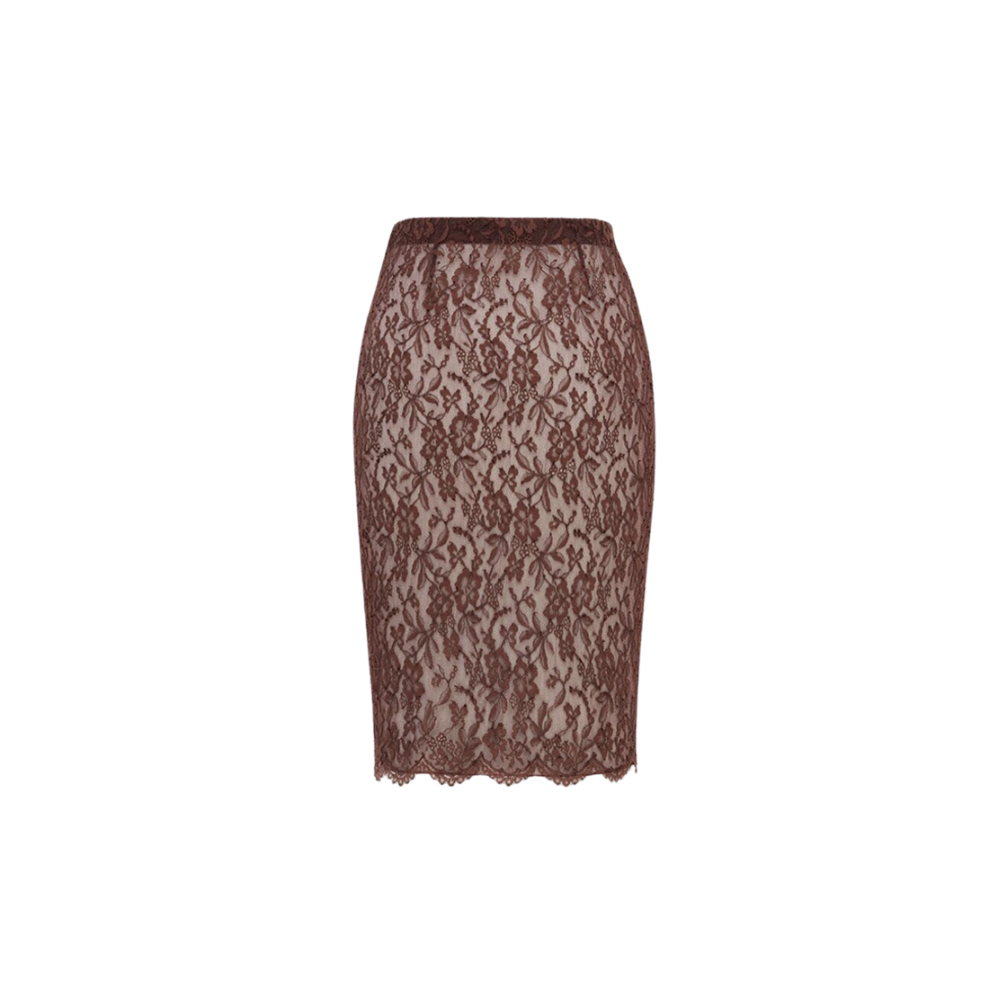 (W) Saint Laurent Pencil Skirt In Lace Chocolat 상세 이미지 2