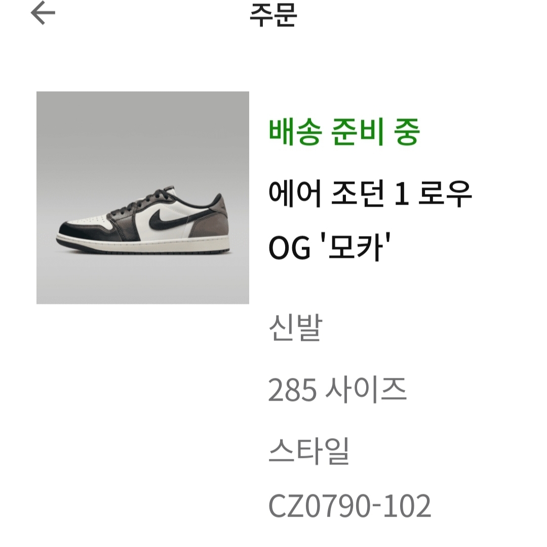 Jordan 1 Retro Low OG Mocha 착용 스타일