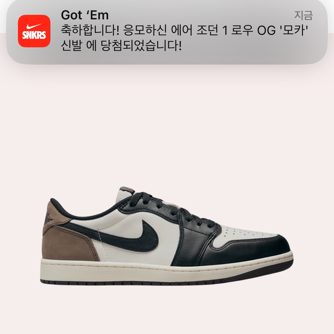 Jordan 1 Retro Low OG Mocha 착용 스타일
