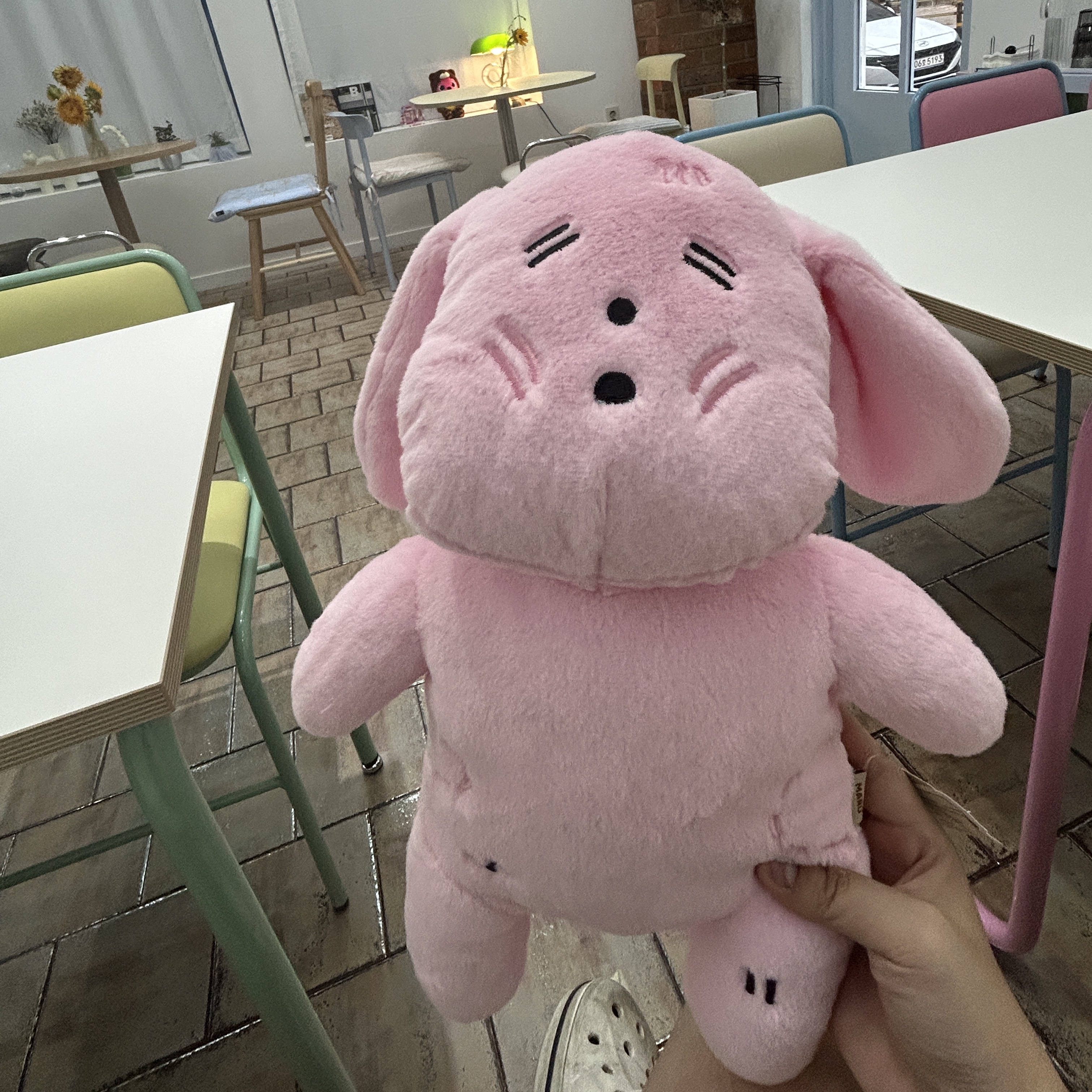 Maru is a Puppy 35cm Doll Tosuni 착용 스타일