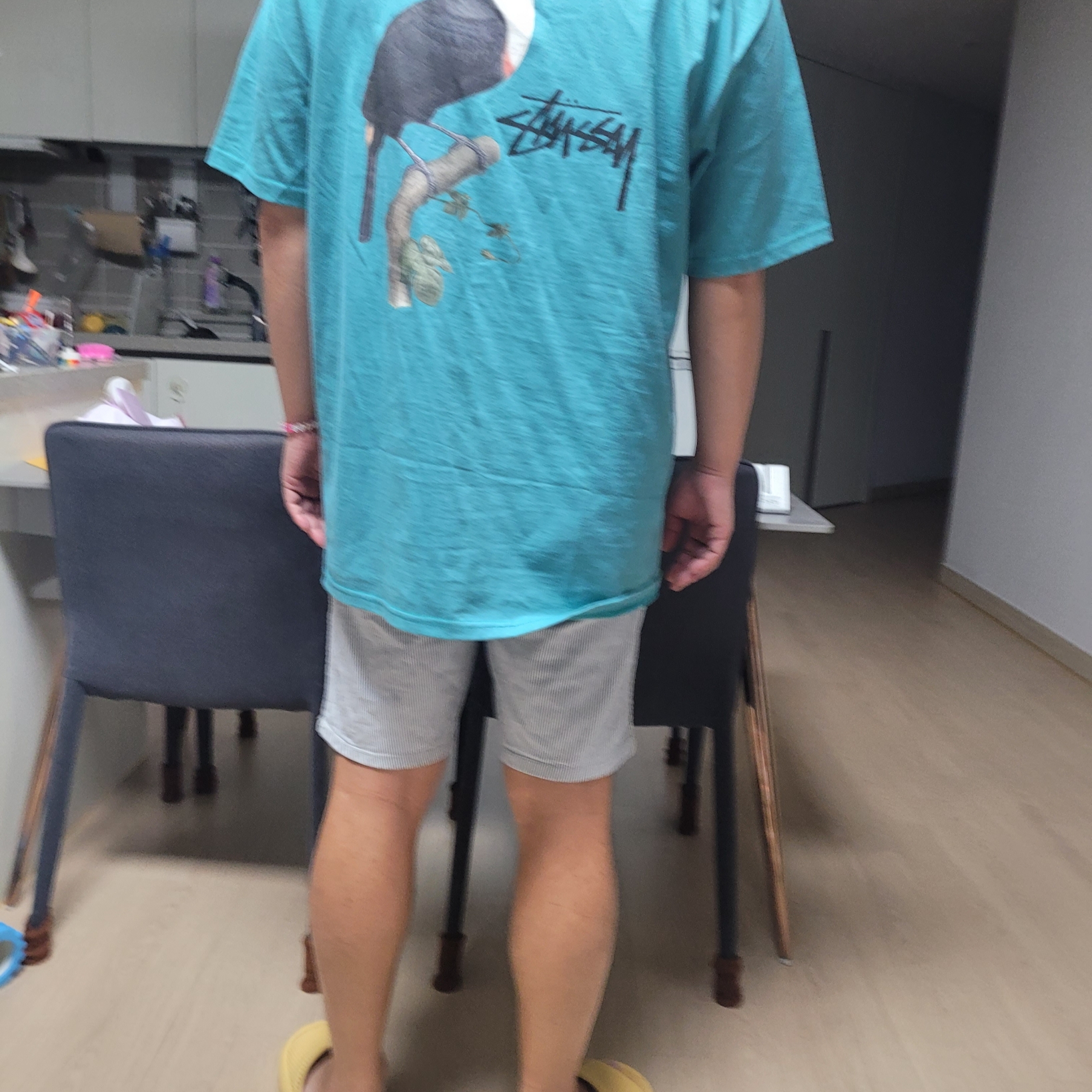 Stussy Toucan T-Shirt Ocean 착용 스타일 - 1