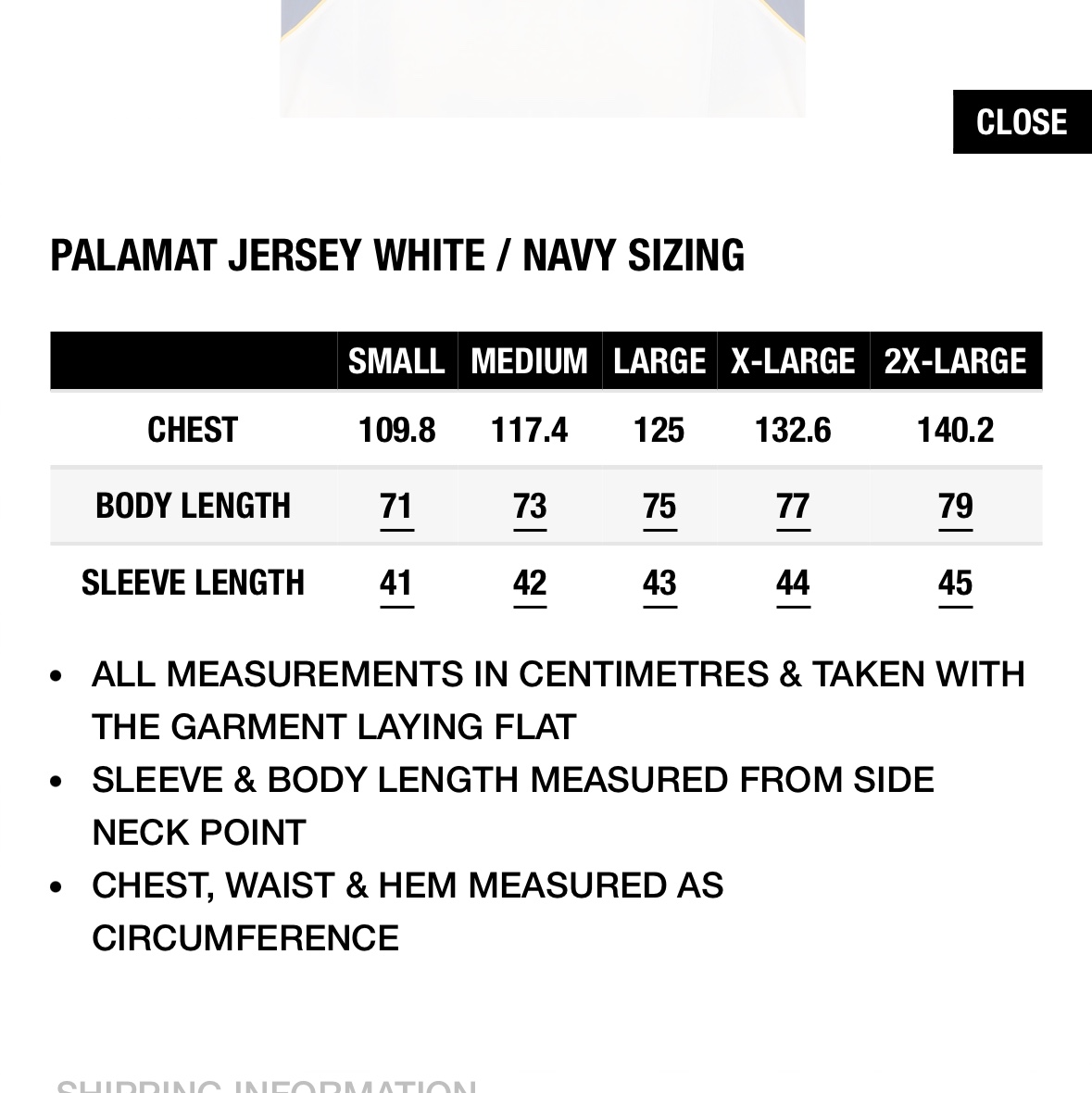 Palace Palamat Jersey White Navy - 24FW 착용 스타일 - 4