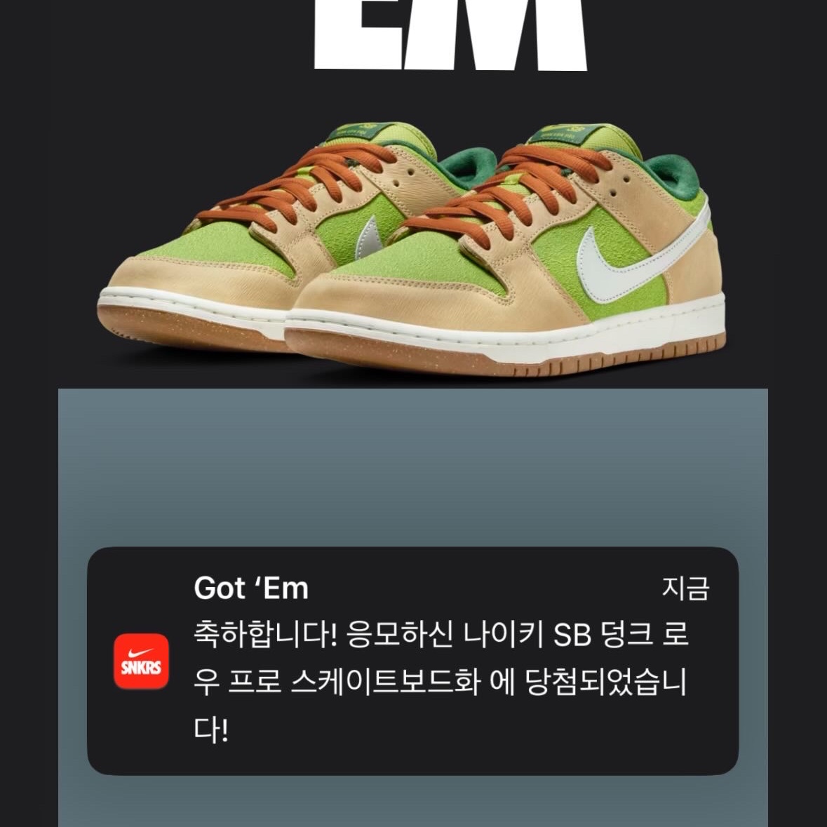 Nike SB Dunk Low Pro Sesame and Pear 착용 스타일