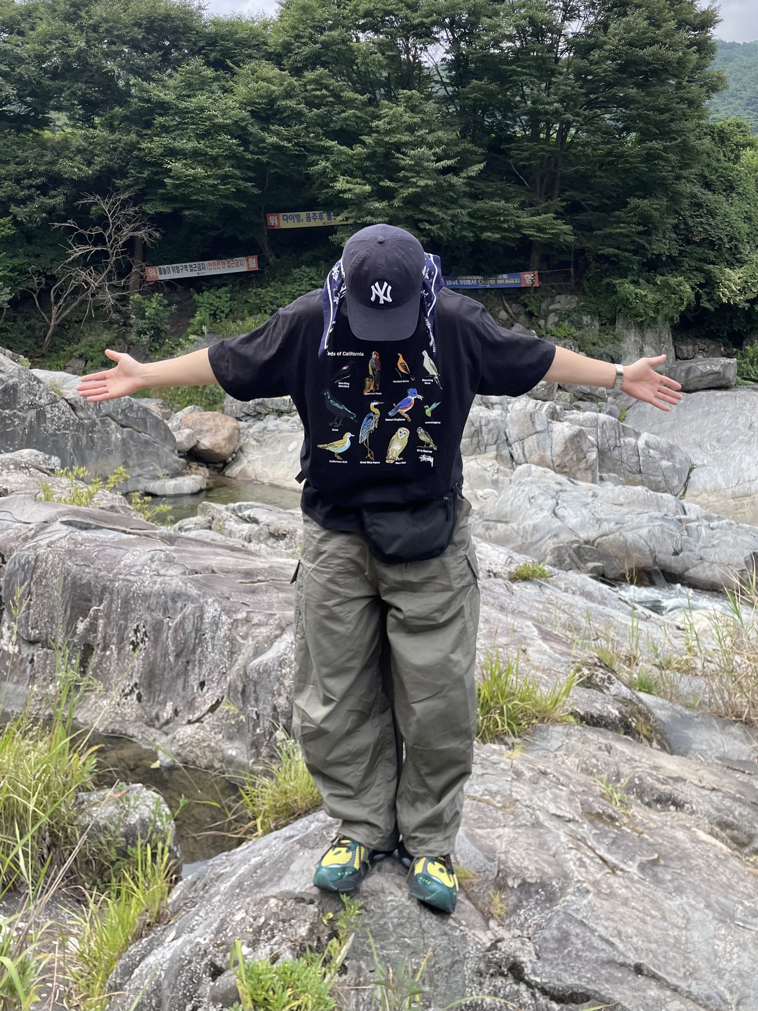 Needles H.D. BDU Pants Olive, Stussy California Birds T-Shirt Black 착용 스타일 - 1