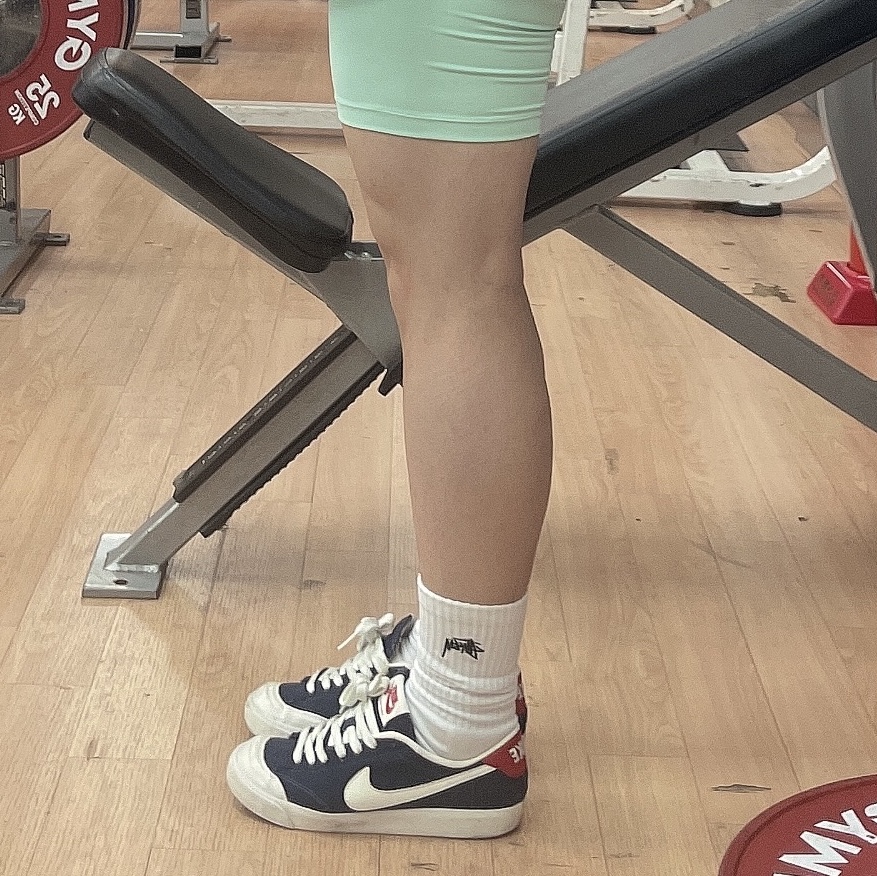 Stussy Small Stock Crew Socks White (3 Pack), Nike SB Zoom All Court CK QS  착용 스타일
