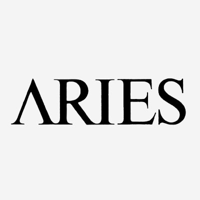 에리즈 얼라이즈(Aries)