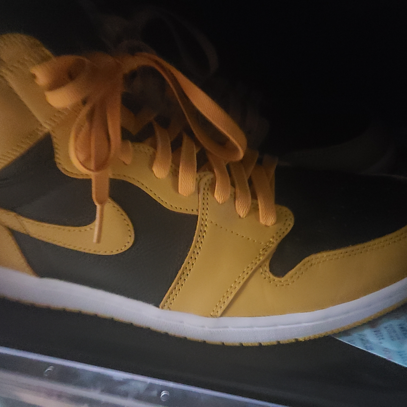 Jordan 1 Retro High OG Pollen 착용 스타일