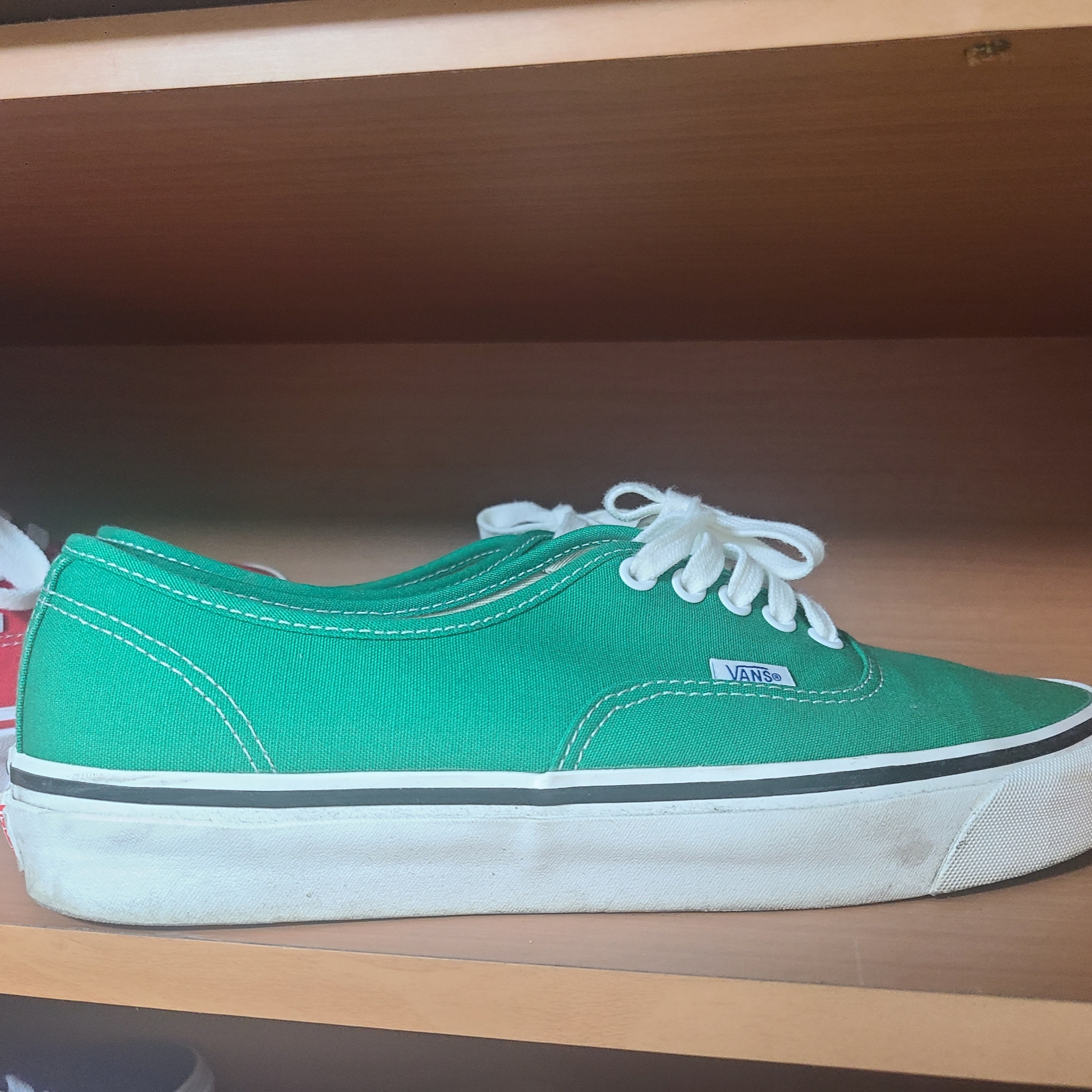 Vans Authentic 44 DX Anaheim Factory Emerald Green 착용 스타일