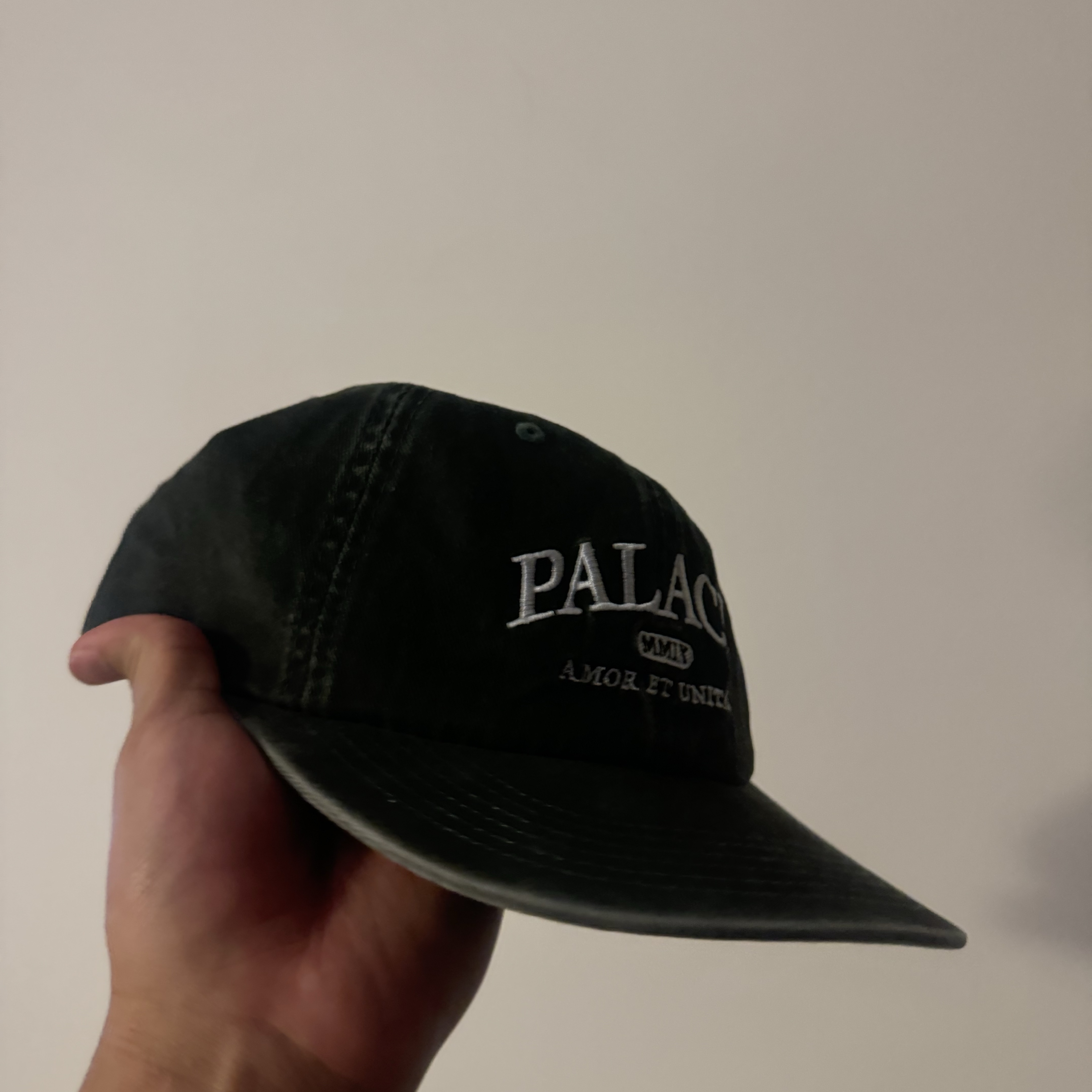 Palace Unitas Pigment Pal Hat Green - 23FW 착용 스타일