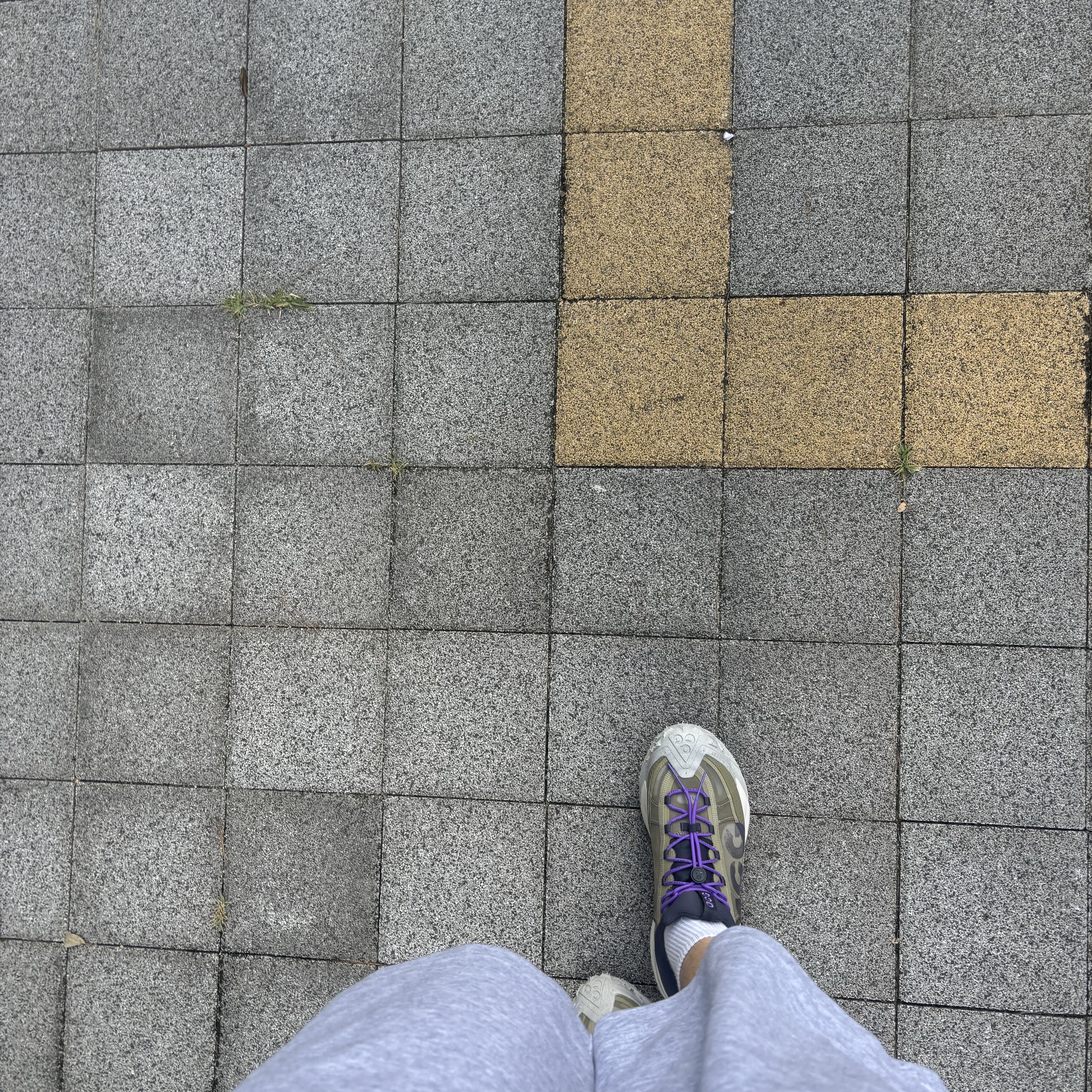 Nike ACG Mountain Fly 2 Low Neutral Olive and Mountain Grape 착용 스타일