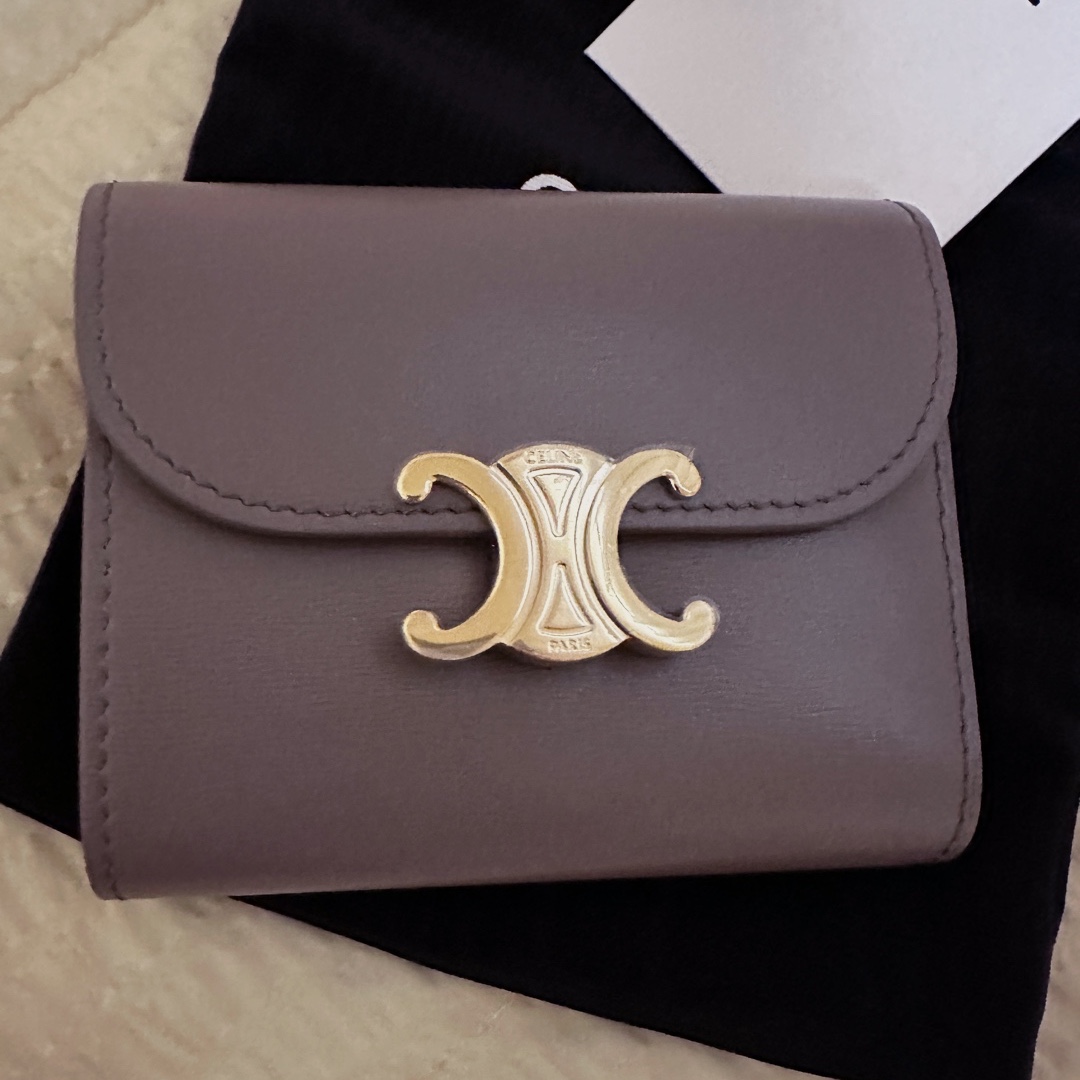 Celine Small Wallet Triomphe in Shiny Calfskin Pebble 착용 스타일 - 1